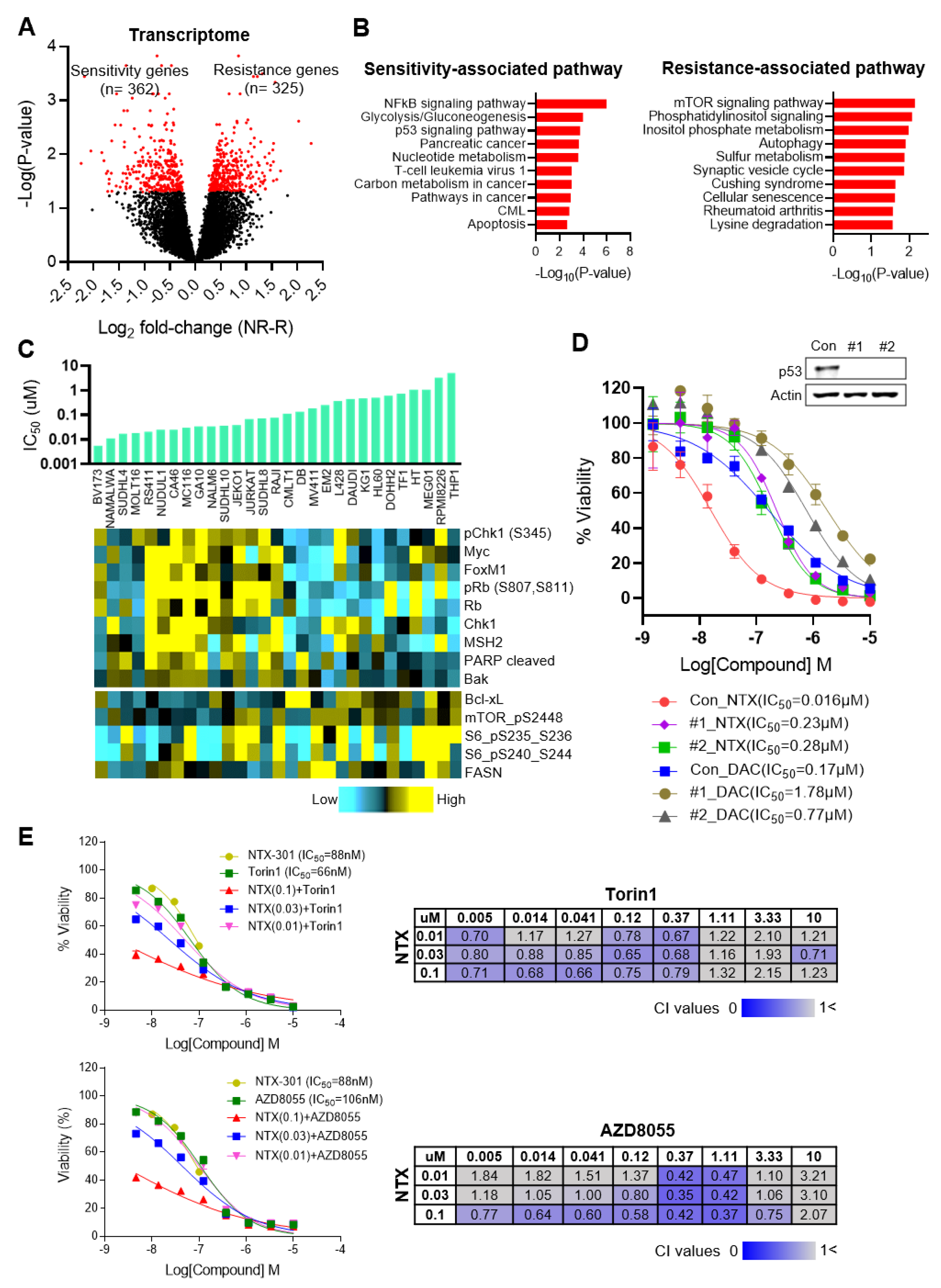 Cancers 15 01737 g005
