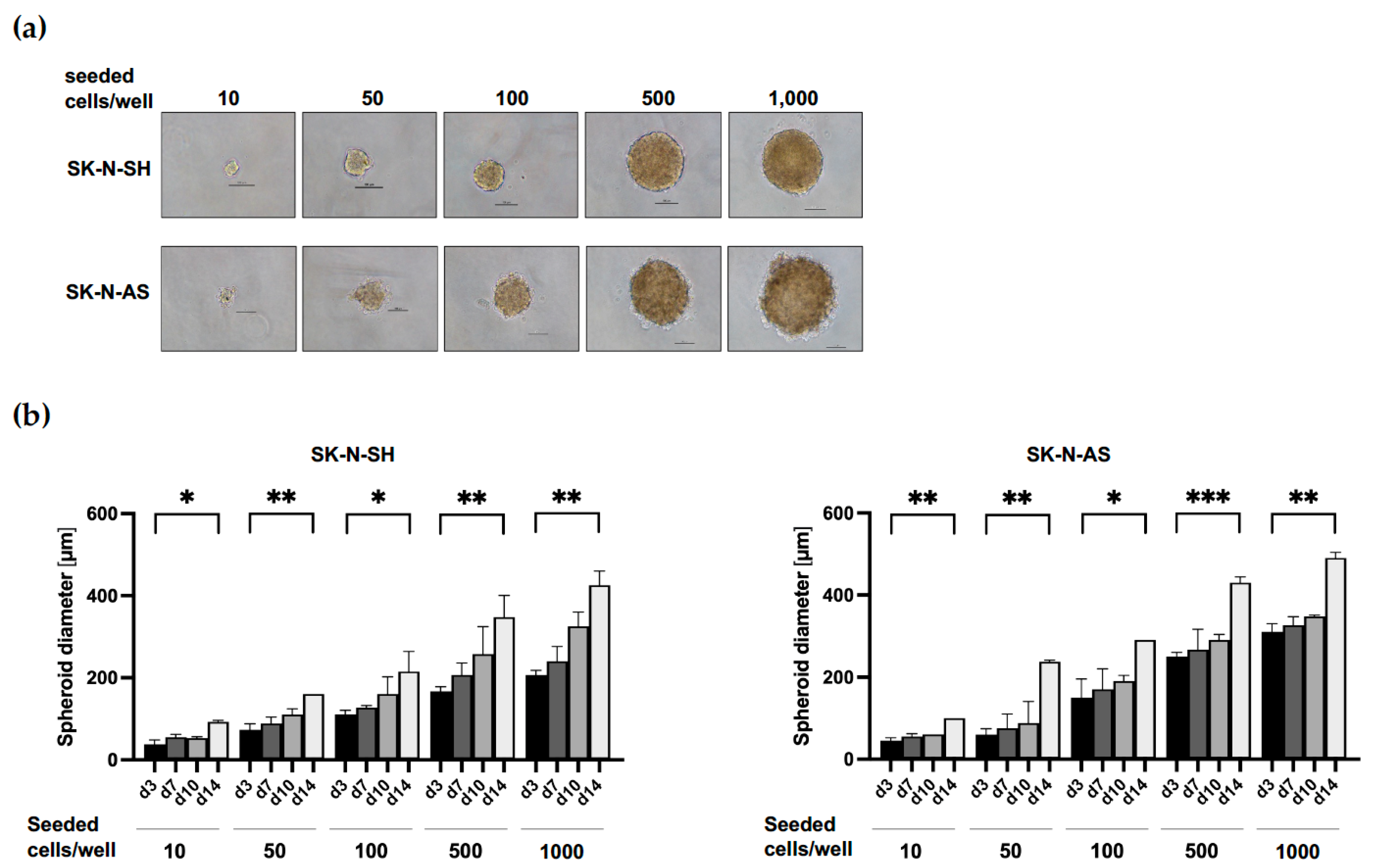 Cancers 15 01749 g001 Cancers 15 01749 g001