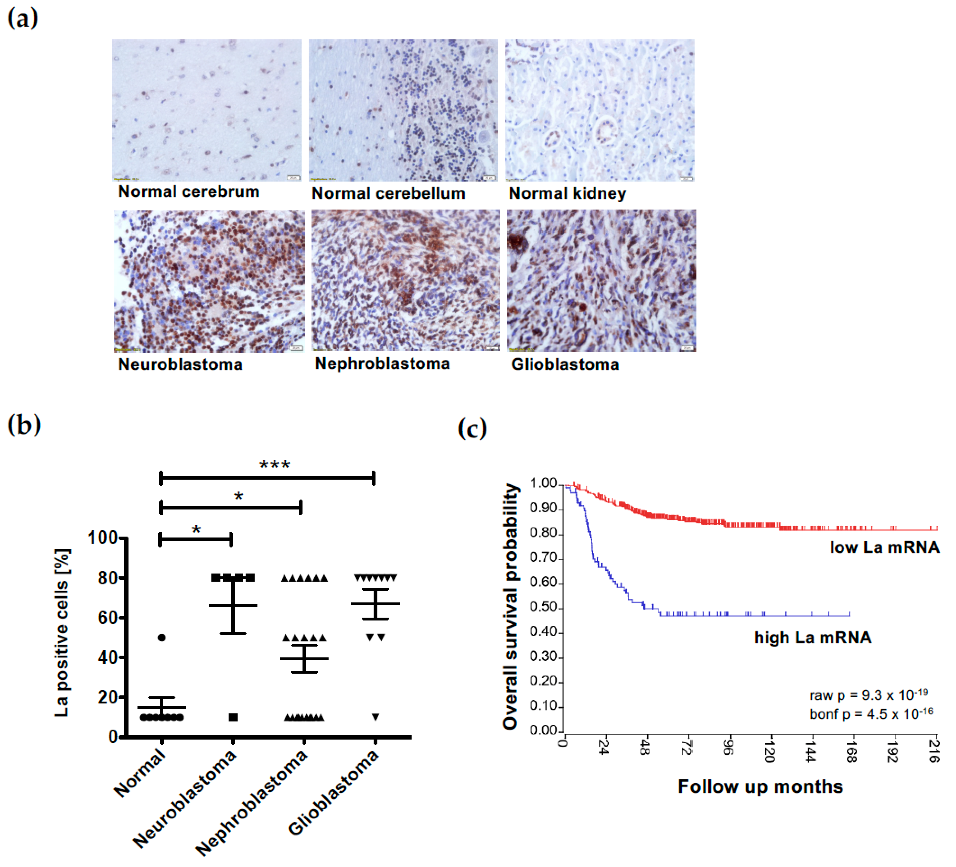 Cancers 15 01749 g009 Cancers 15 01749 g009