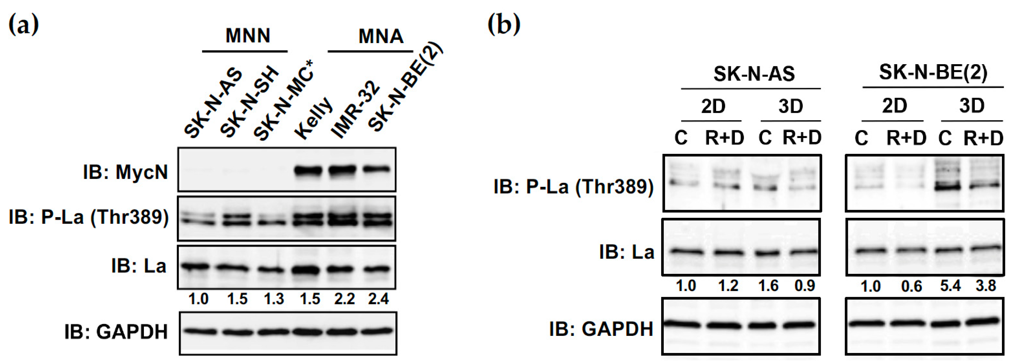 Cancers 15 01749 g010 Cancers 15 01749 g010