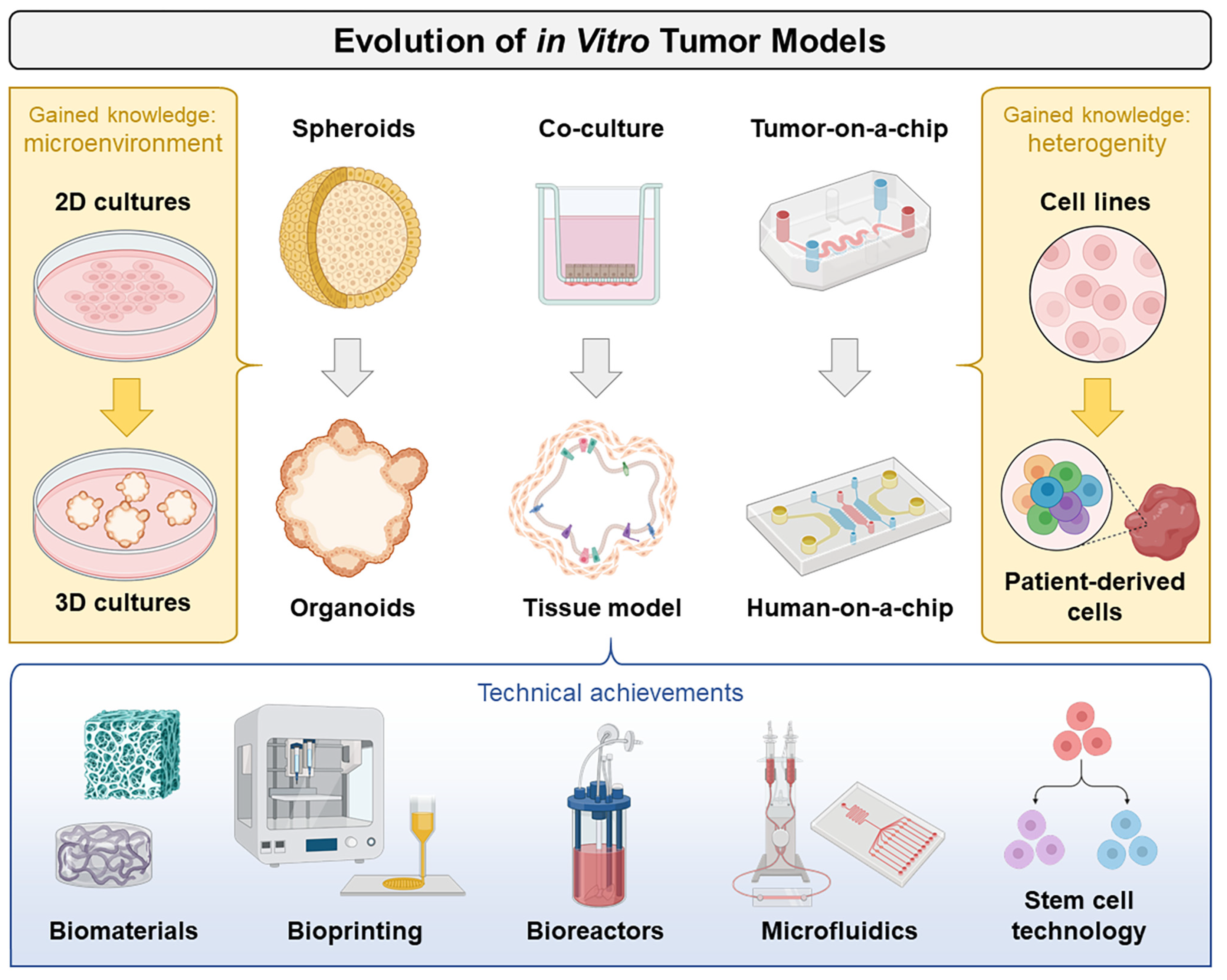 Cancers 15 01768 g001