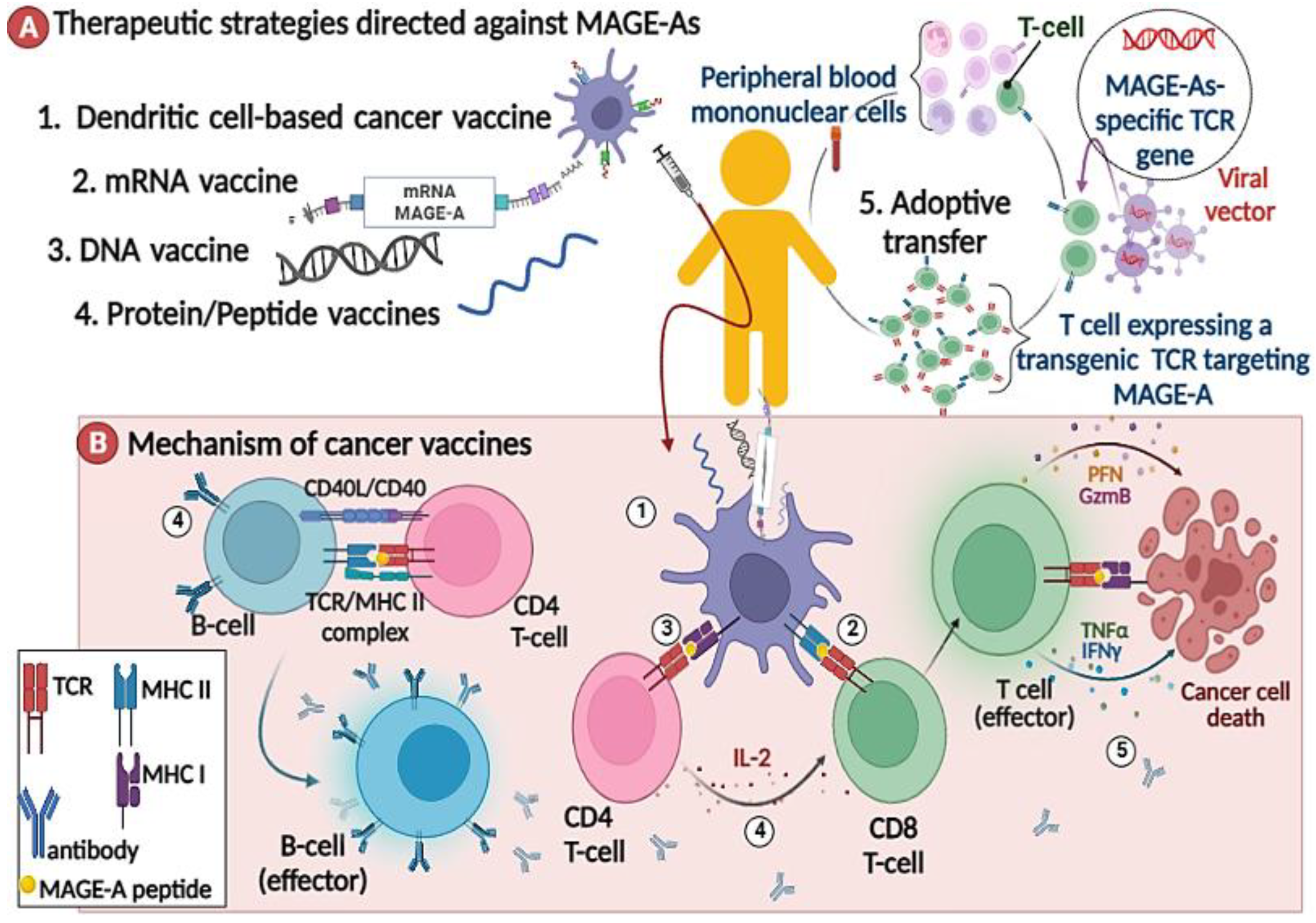 Cancers 15 01779 g002 Cancers 15 01779 g002