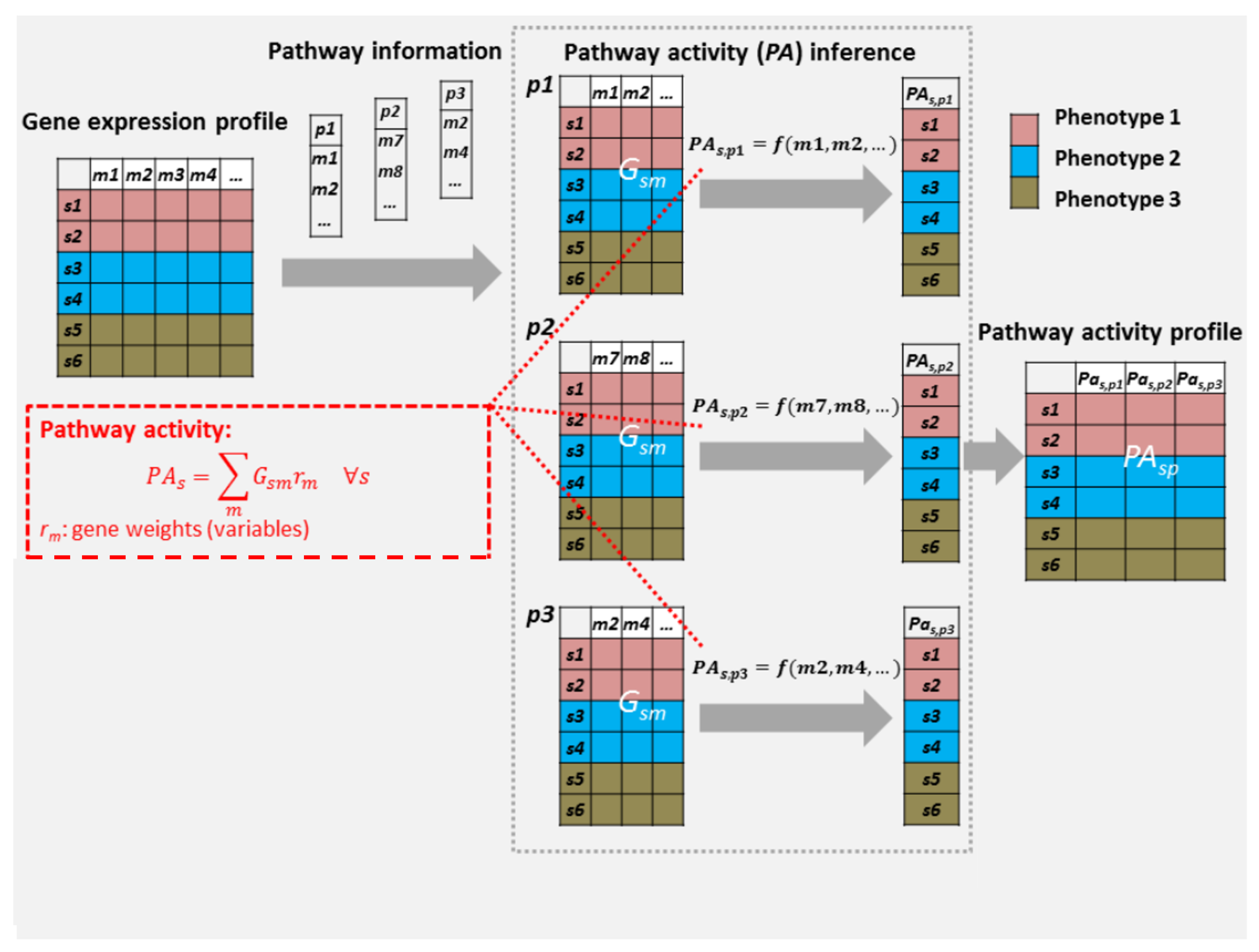 Cancers 15 01787 g001 Cancers 15 01787 g001