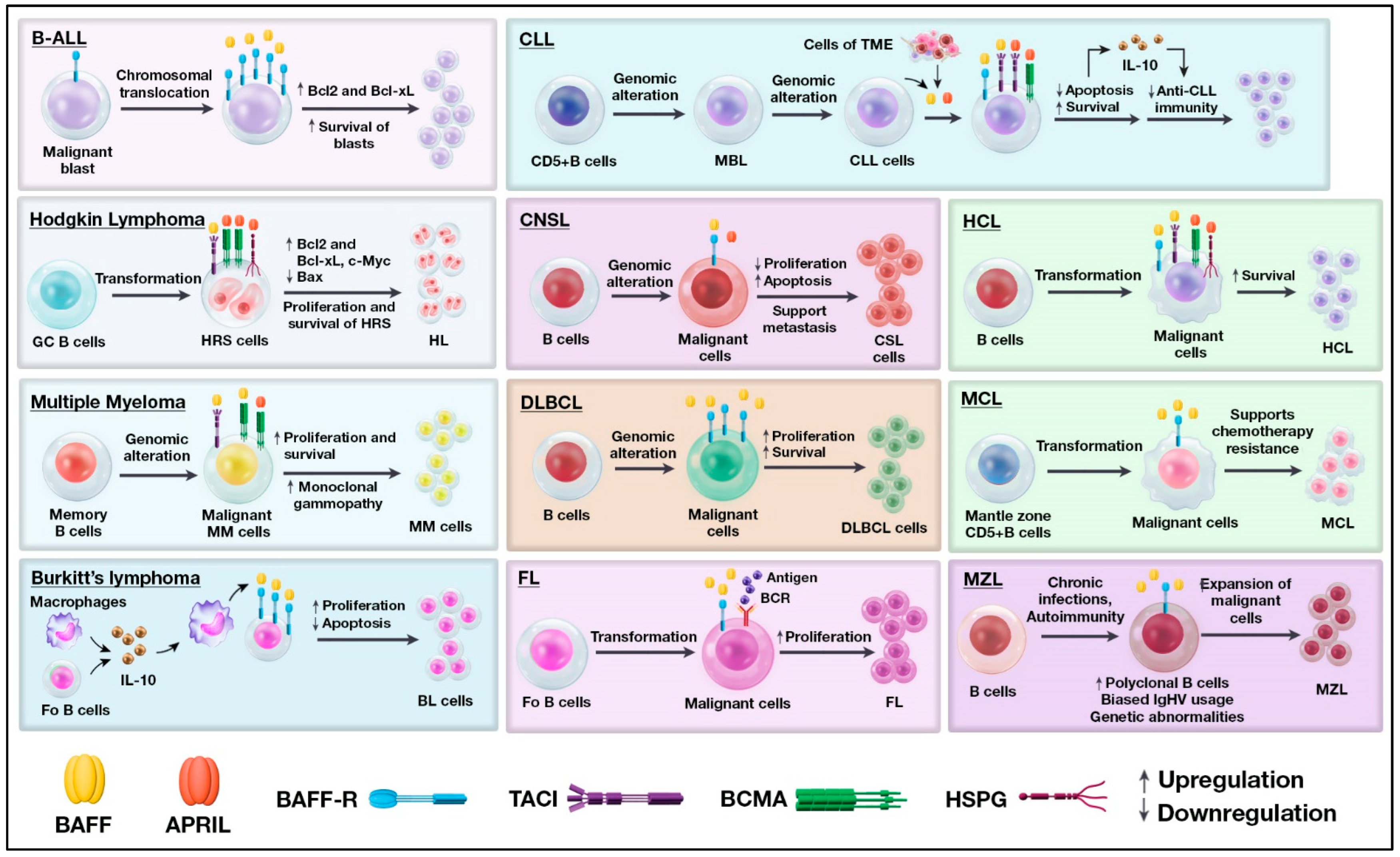 Cancers 15 01791 g002 Cancers 15 01791 g002