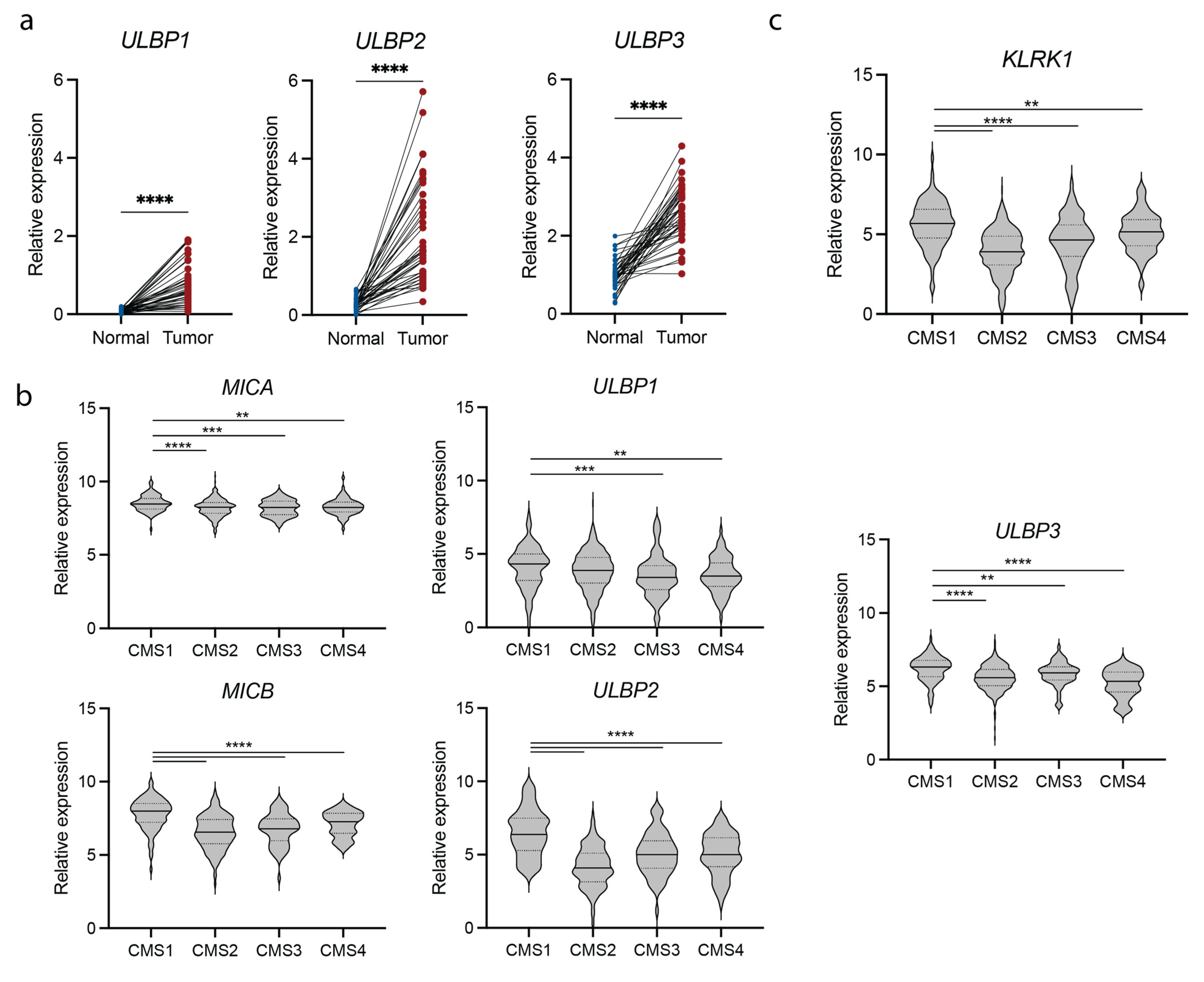 Cancers 15 01792 g001