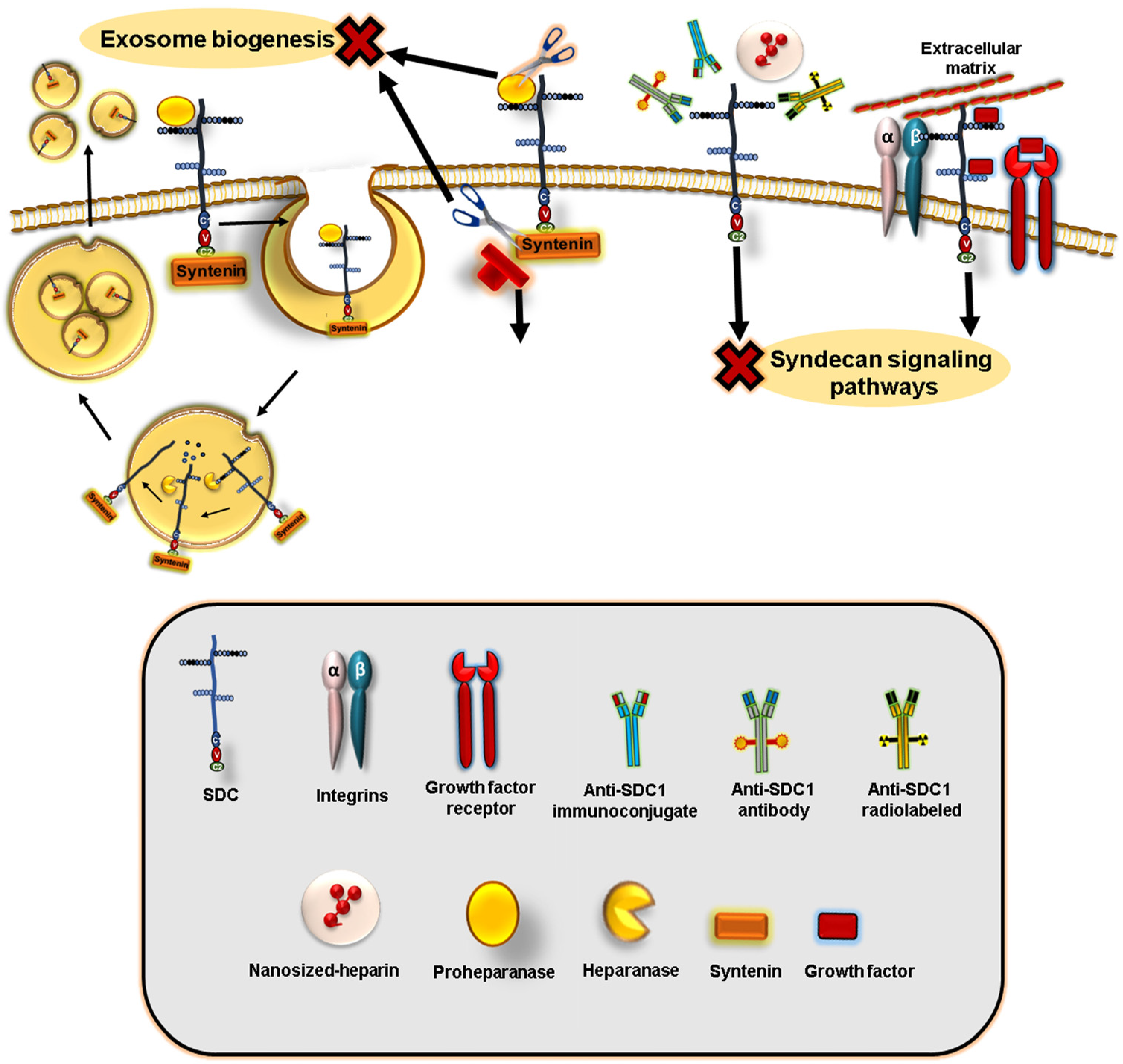 Cancers 15 01794 g004