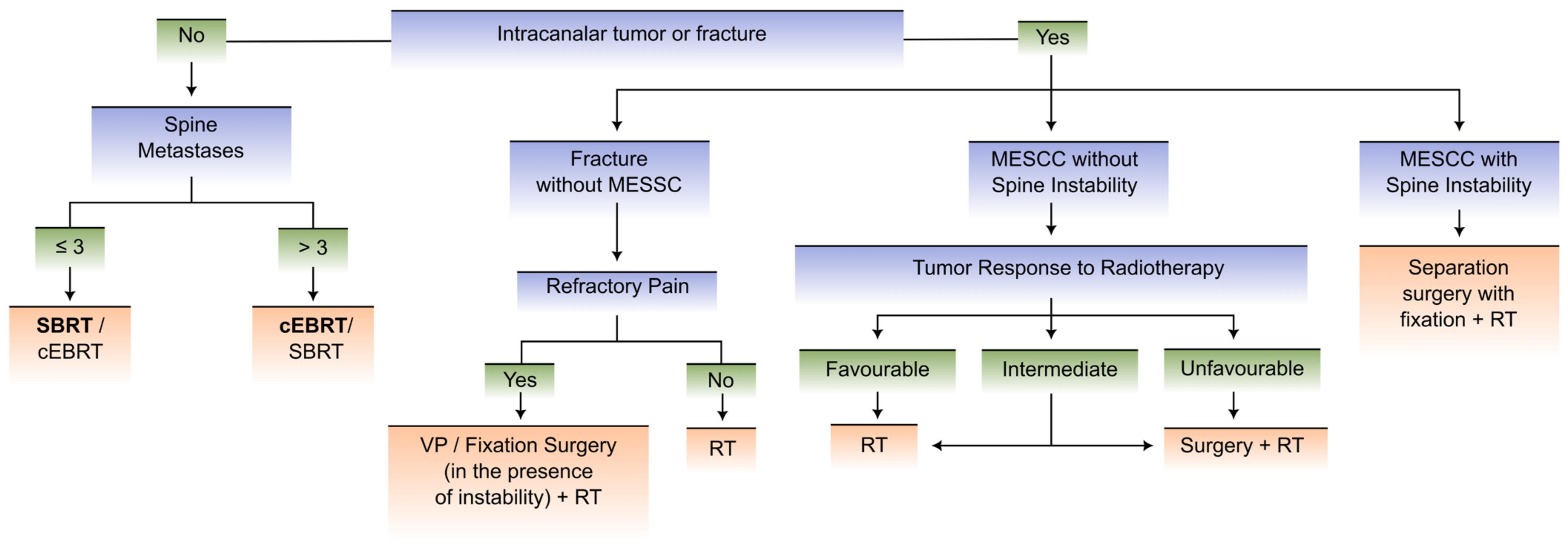 Multidisciplinary Approach to Spinal Metastases and