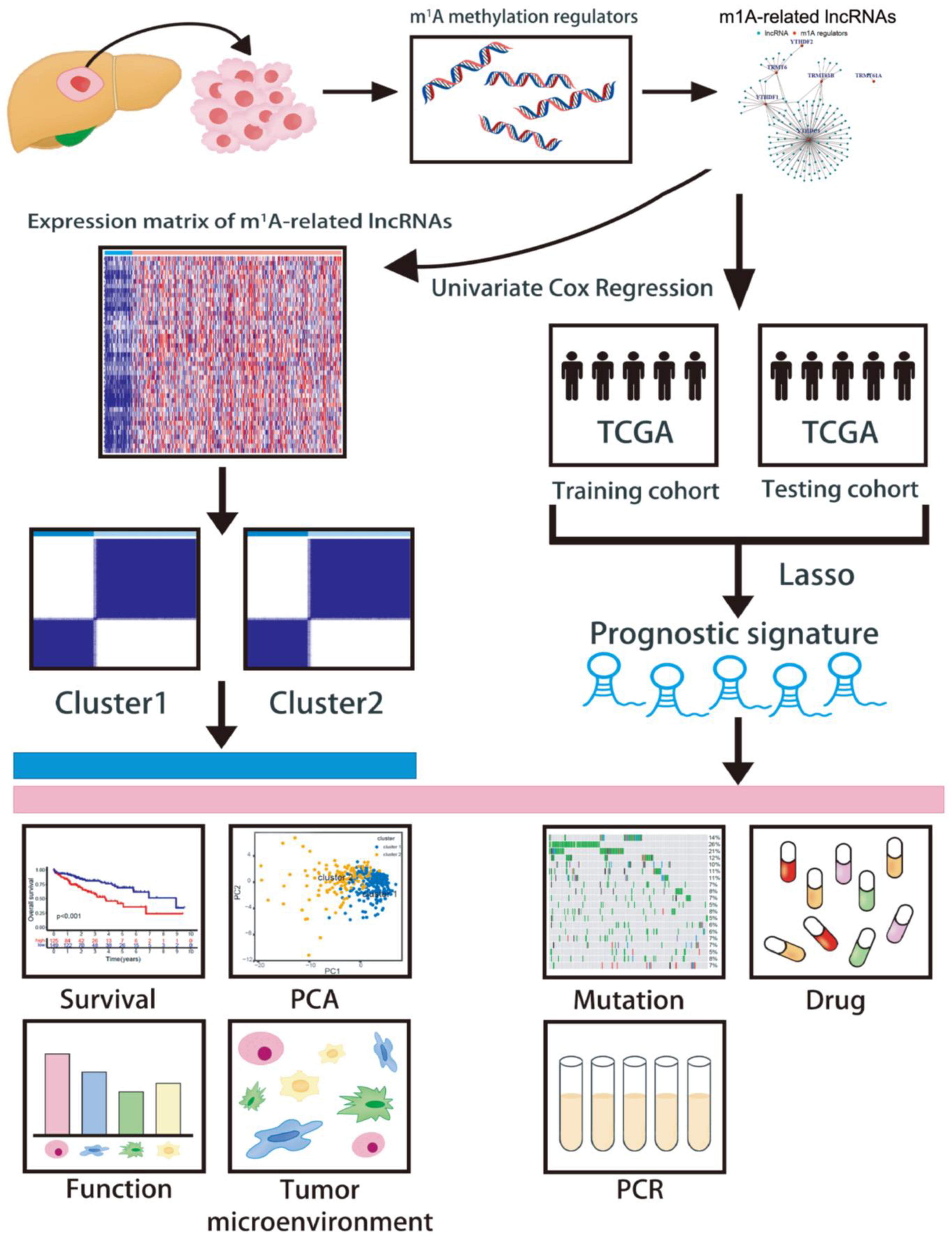 Cancers 15 01800 g001