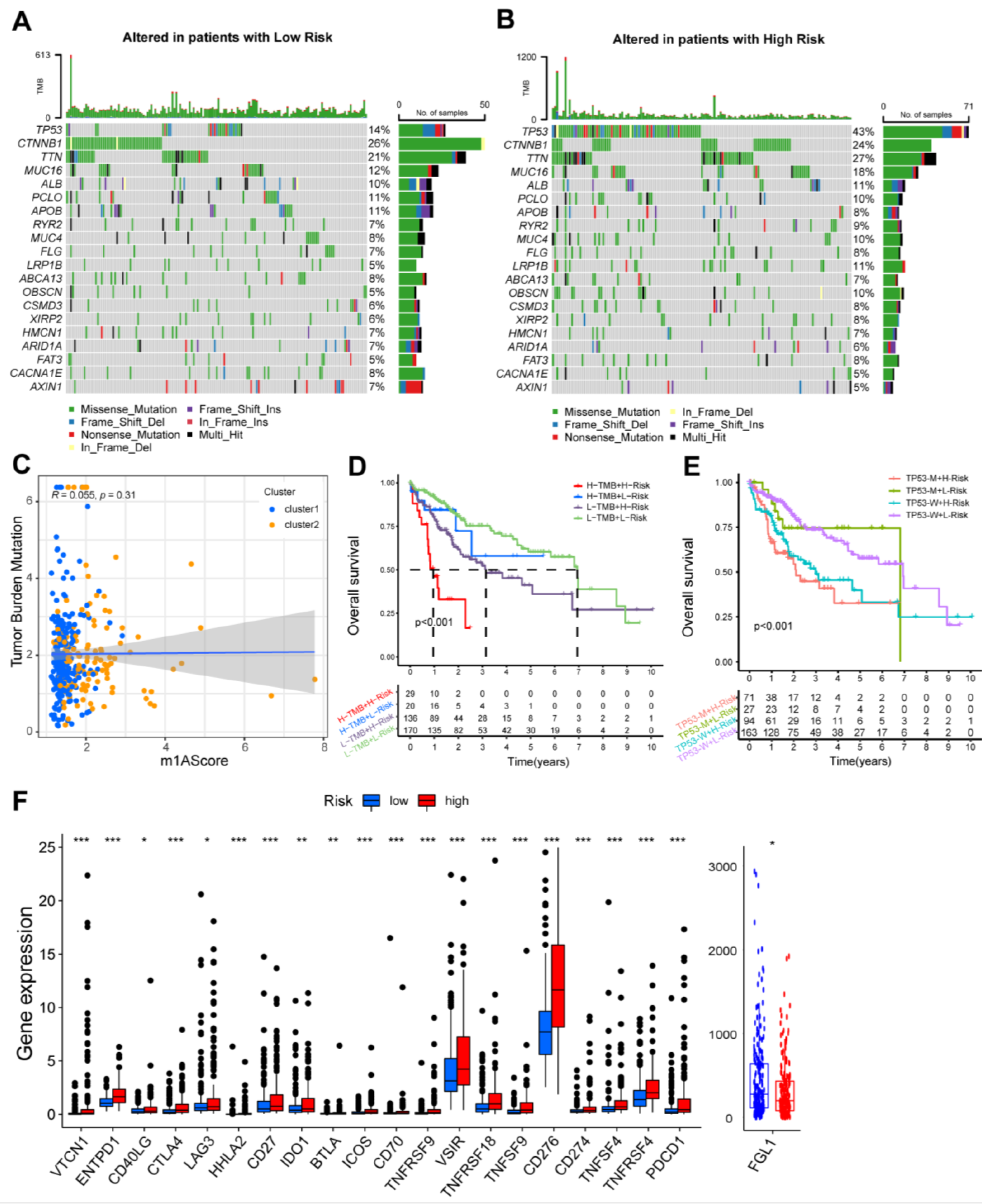 Cancers 15 01800 g005