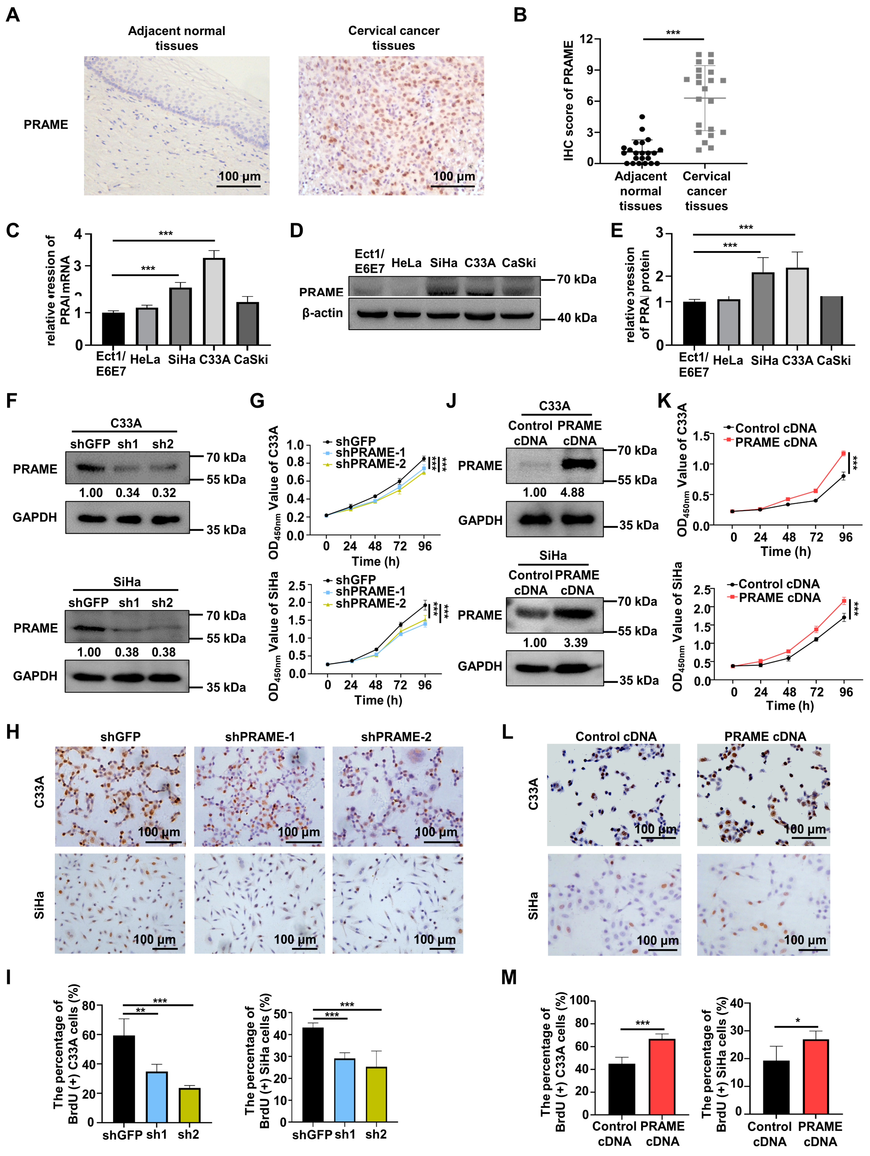 Cancers 15 01801 g001 Cancers 15 01801 g001