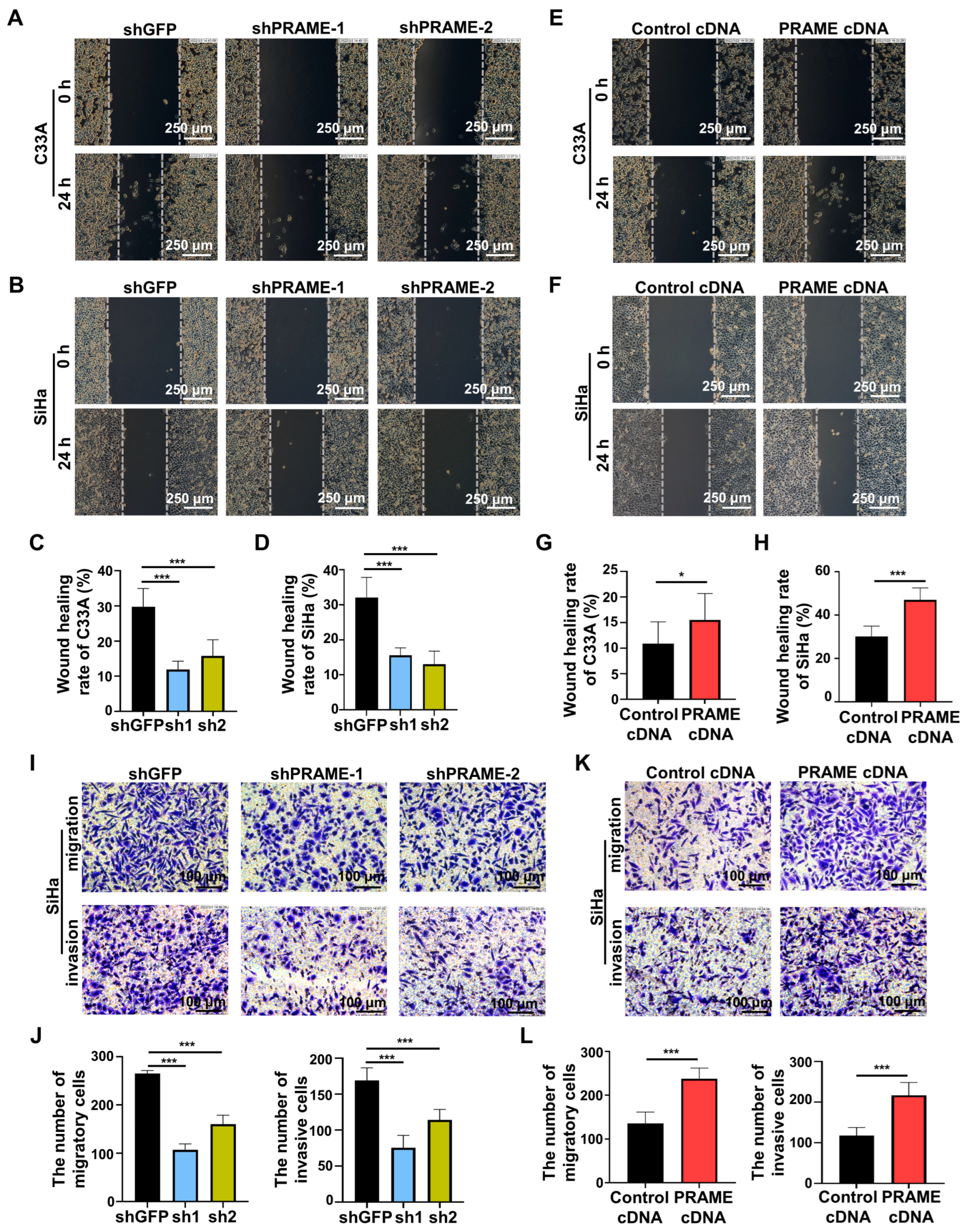 Cancers 15 01801 g004 Cancers 15 01801 g004