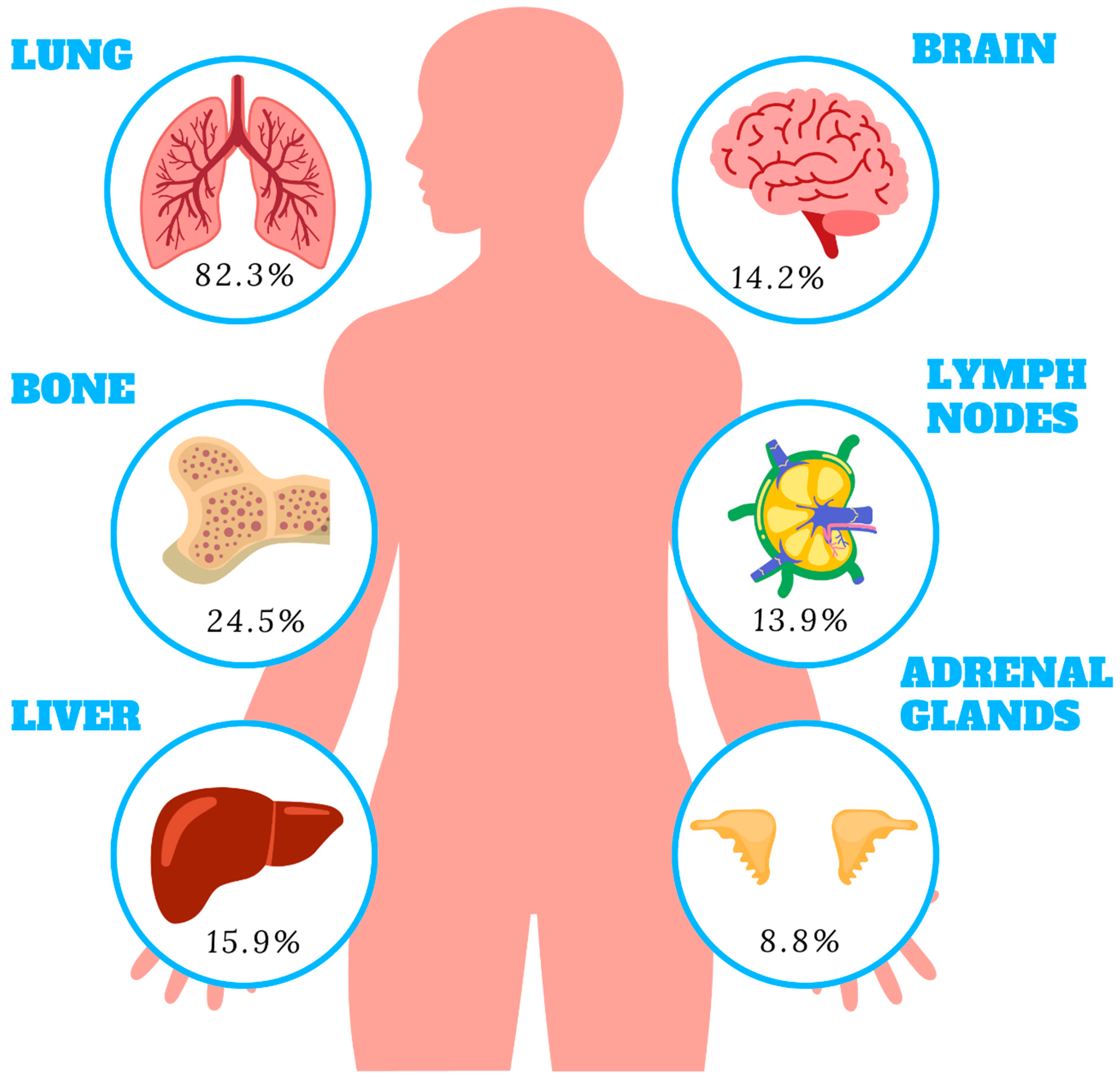 Cancers 15 01804 g001 Cancers 15 01804 g001