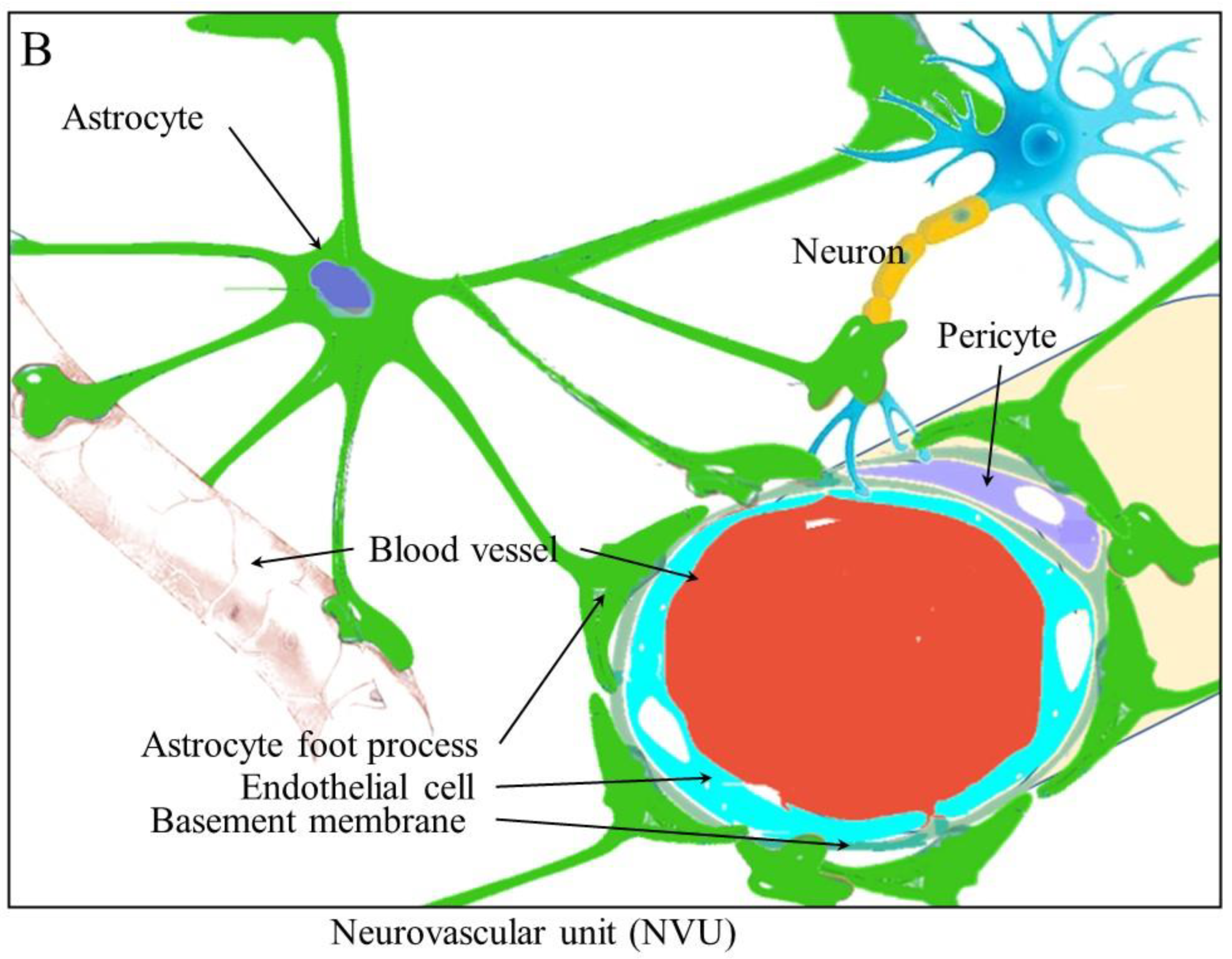 Cancers 15 01805 g001b Cancers 15 01805 g001b