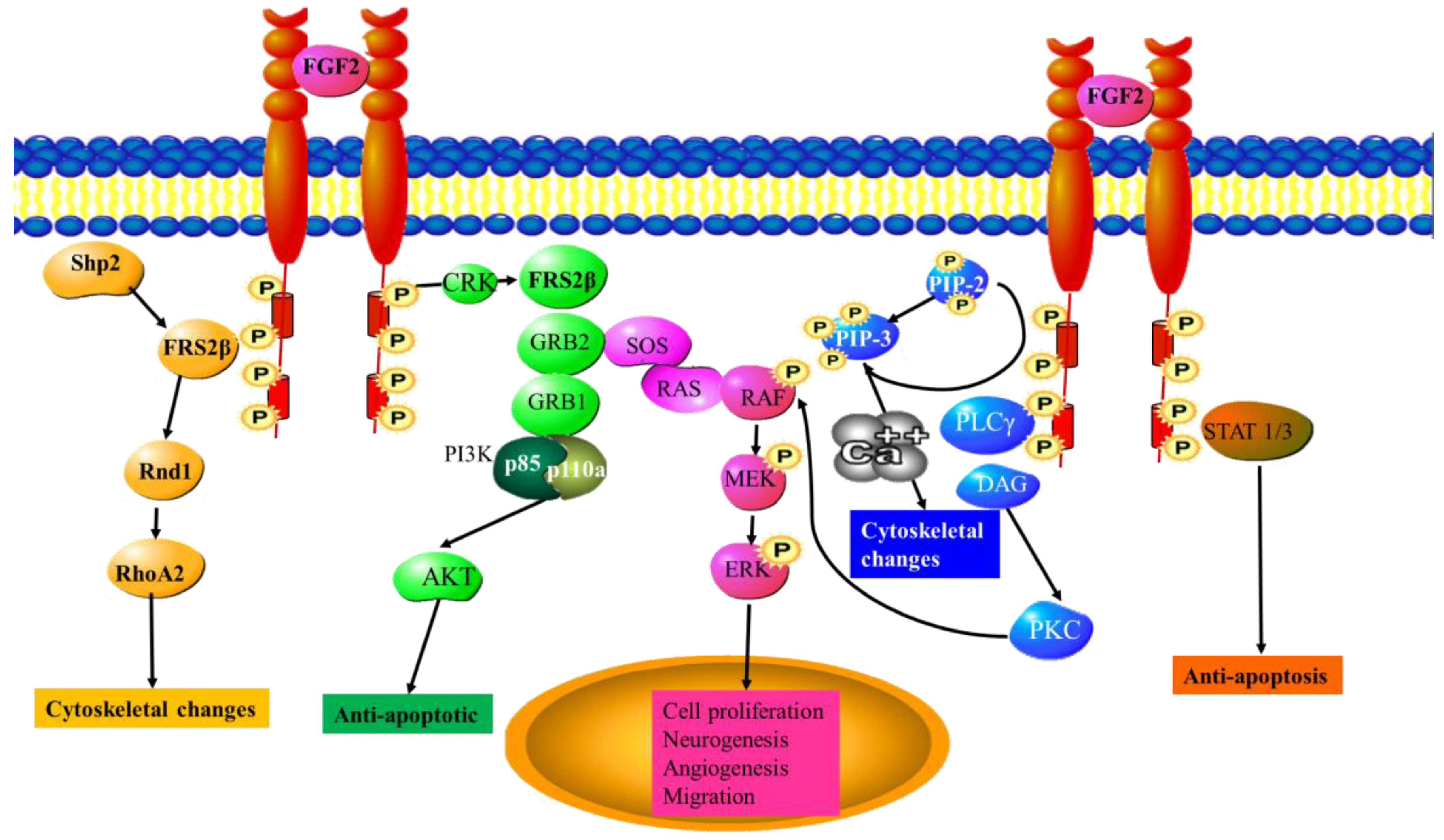 Cancers 15 01805 g002 Cancers 15 01805 g002