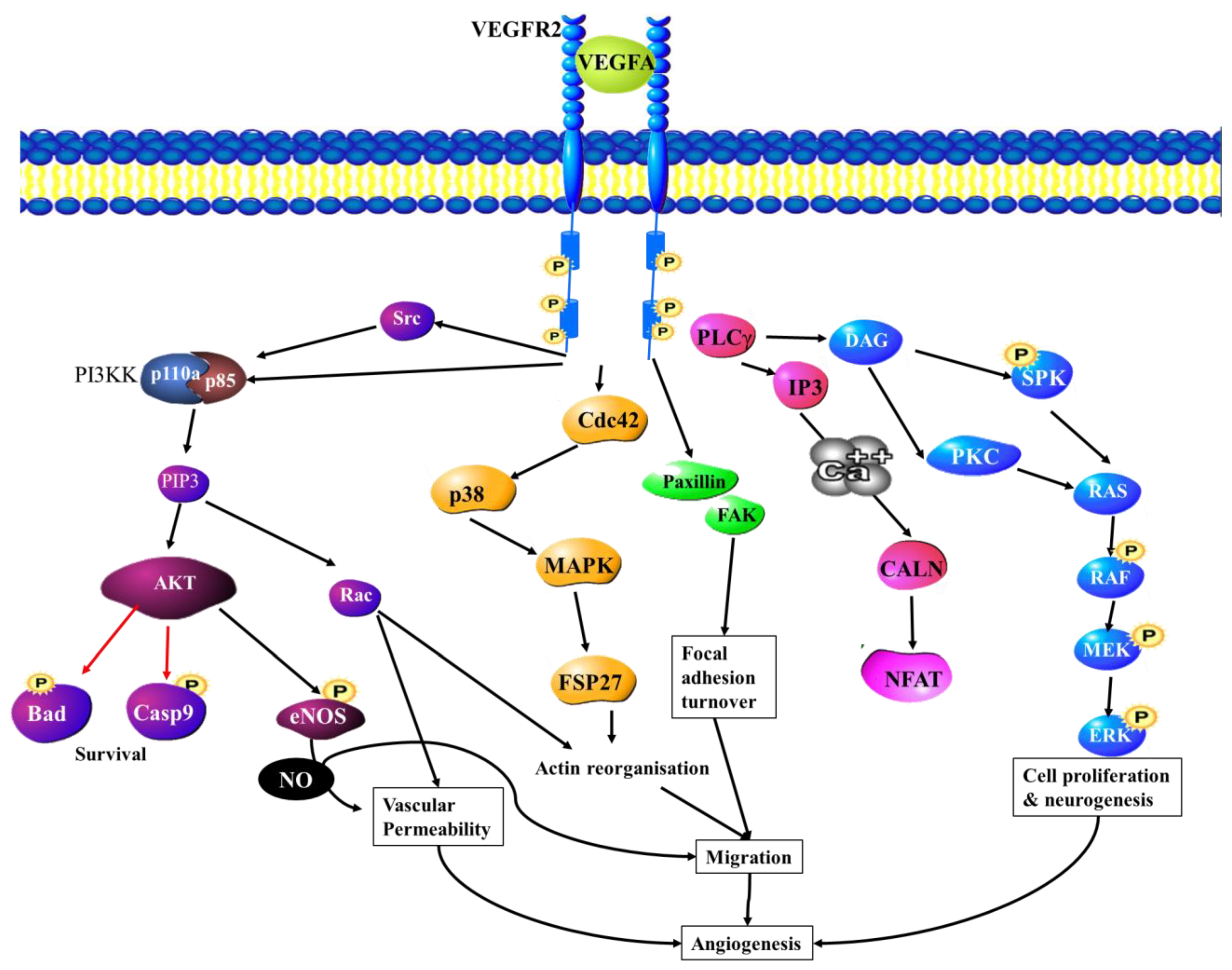 Cancers 15 01805 g004 Cancers 15 01805 g004