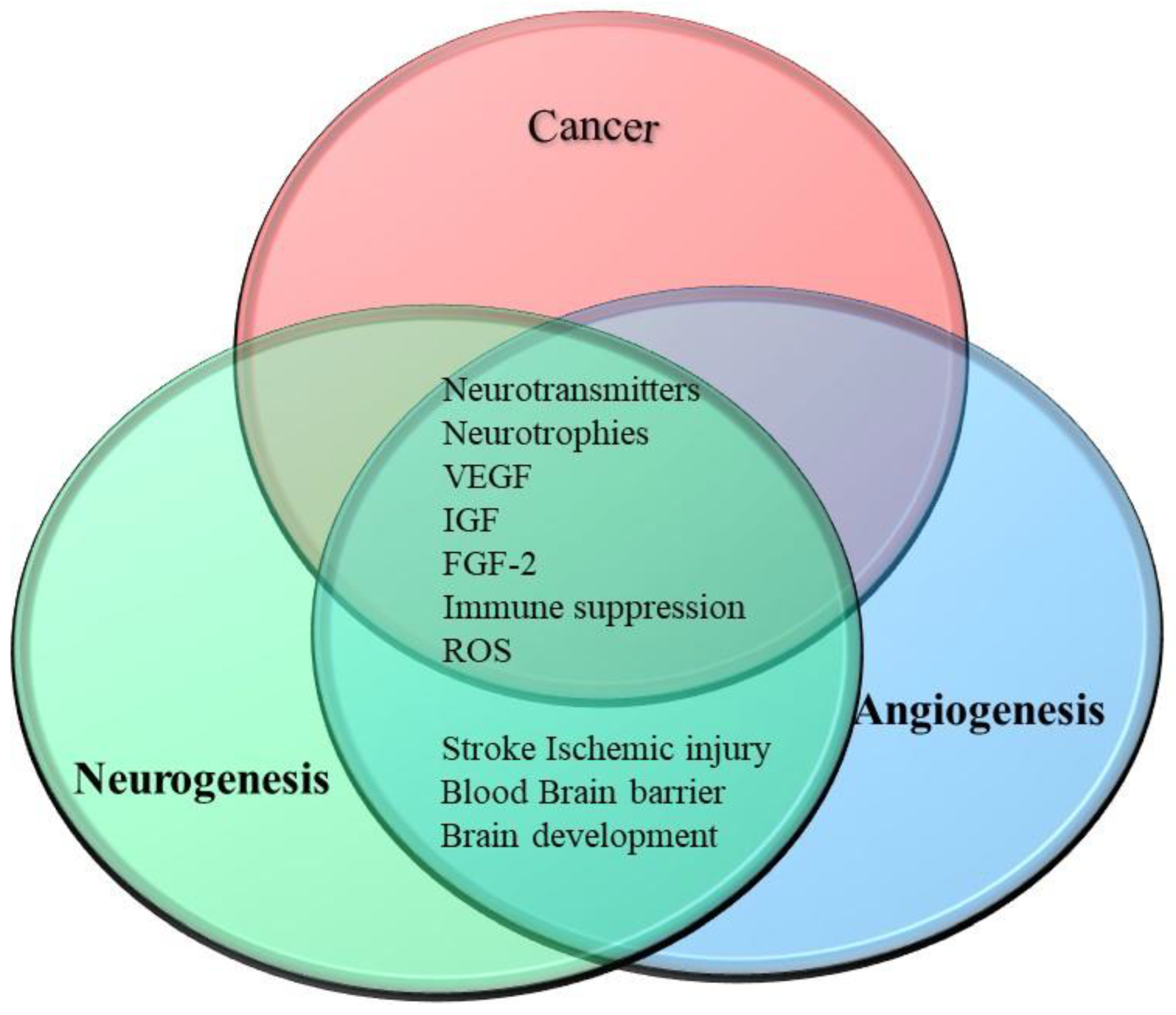 Cancers 15 01805 g007 Cancers 15 01805 g007