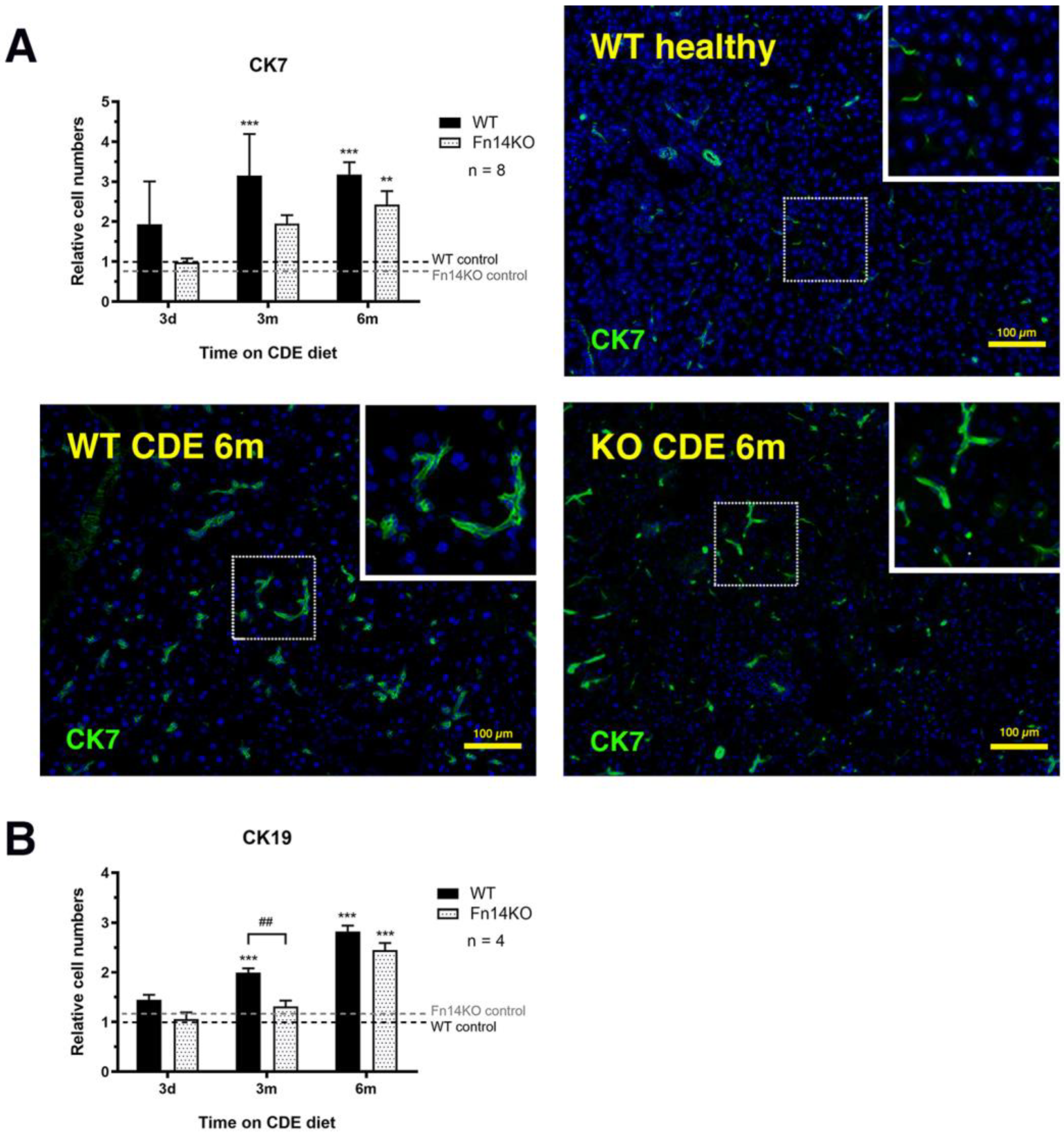 Cancers 15 01807 g004 Cancers 15 01807 g004