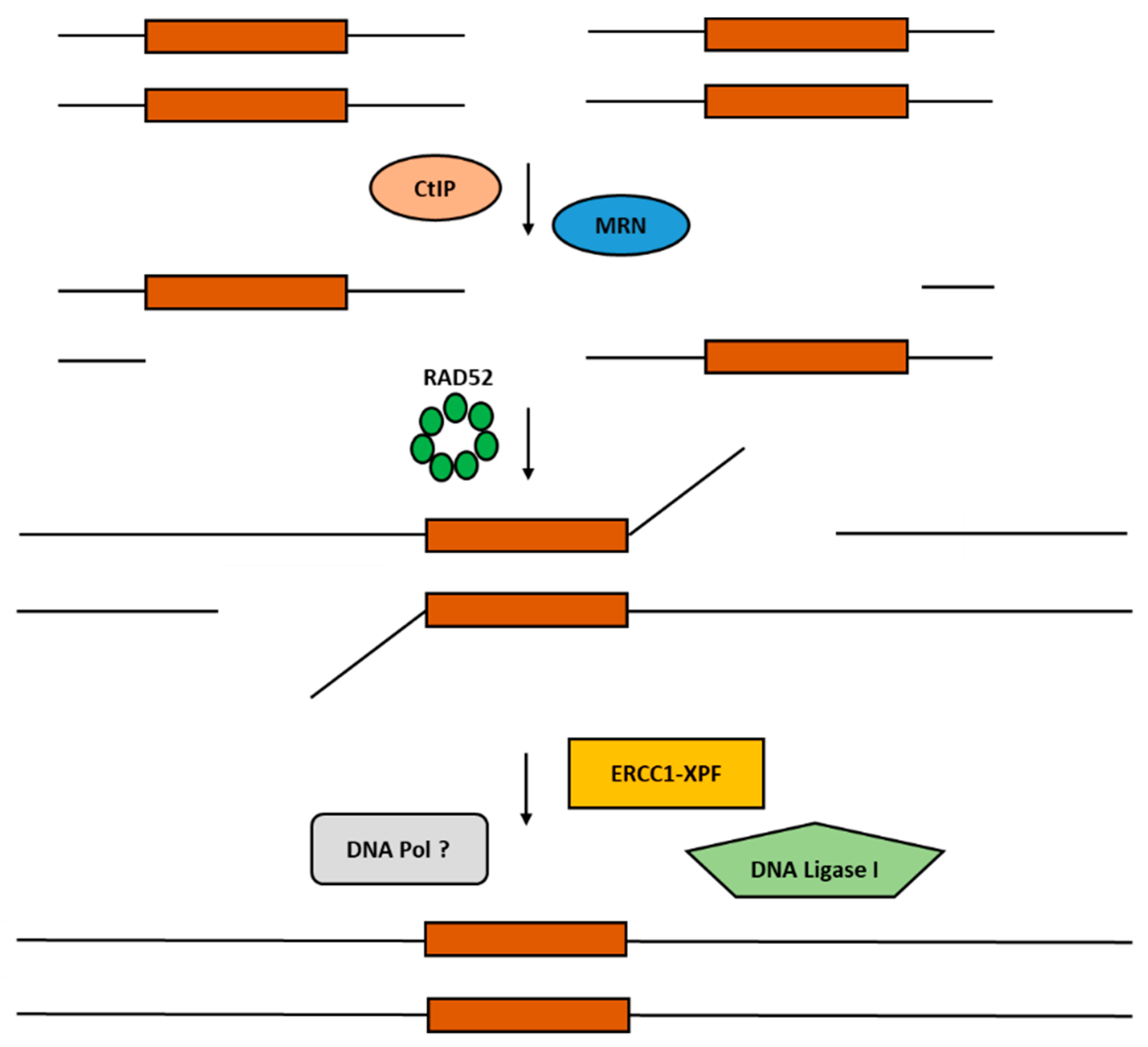 Cancers 15 01817 g001 Cancers 15 01817 g001