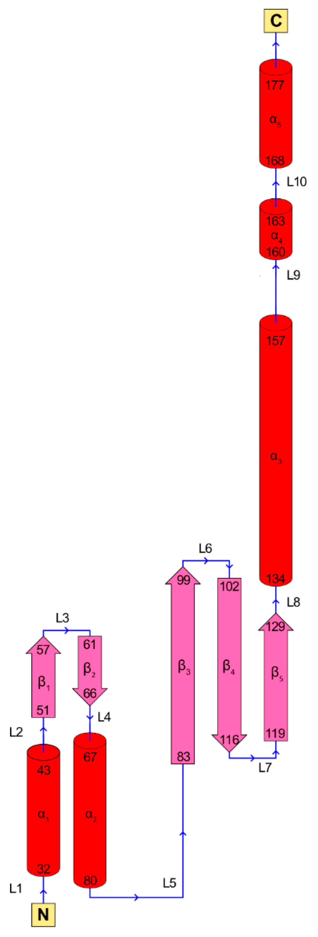 Cancers 15 01817 g006 Cancers 15 01817 g006
