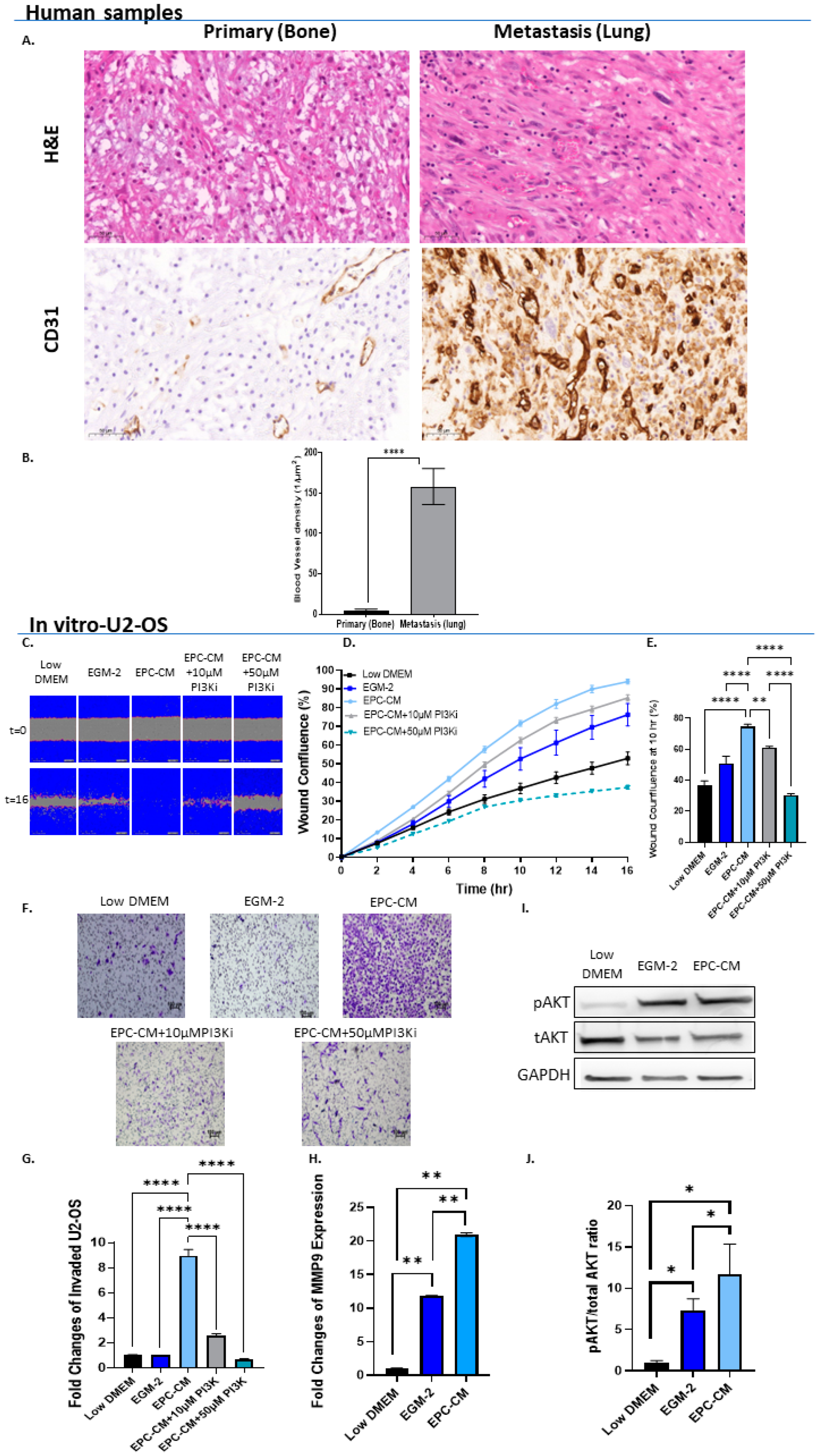 Cancers 15 01818 g001