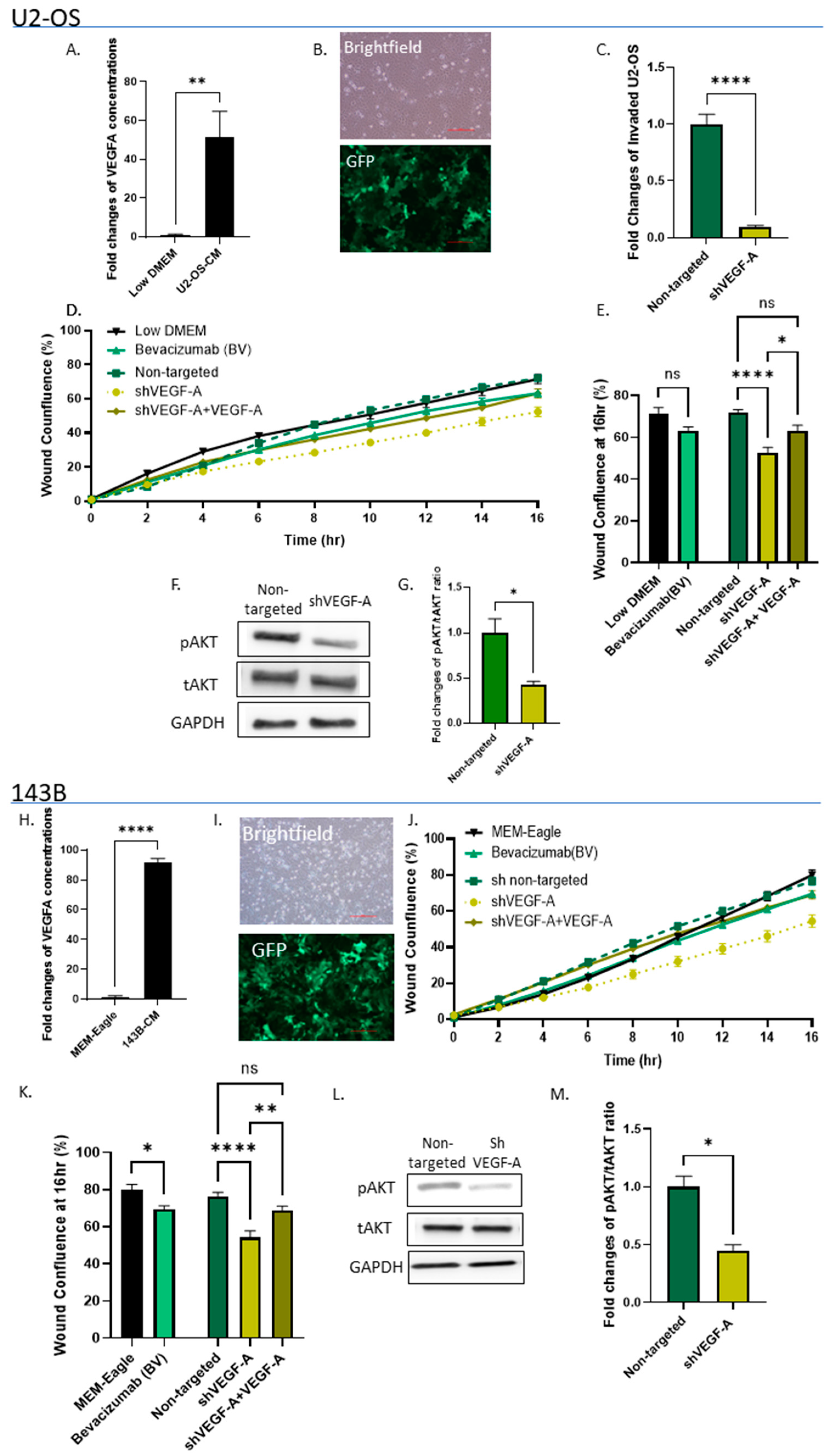 Cancers 15 01818 g003