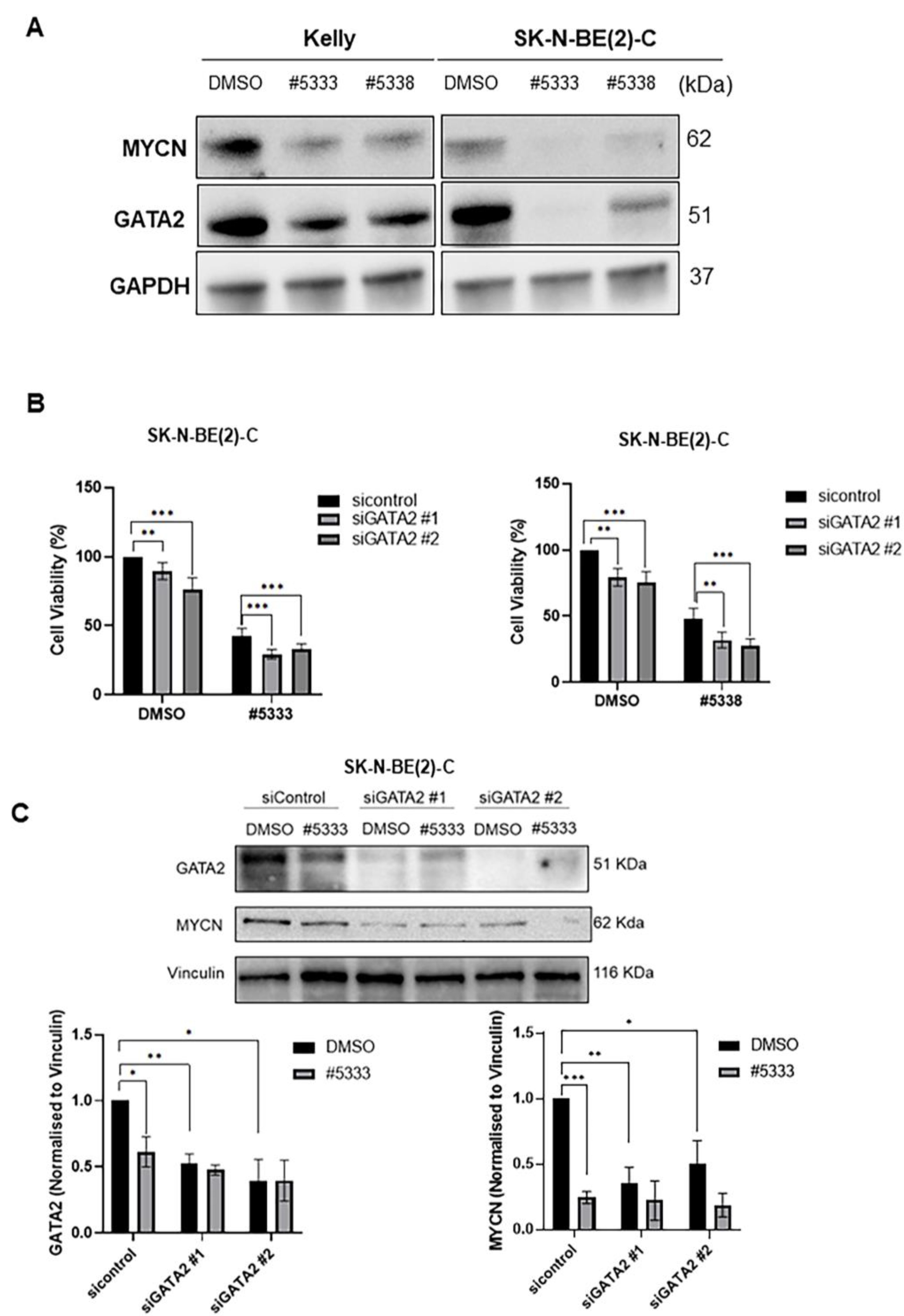 Cancers 15 01822 g005a