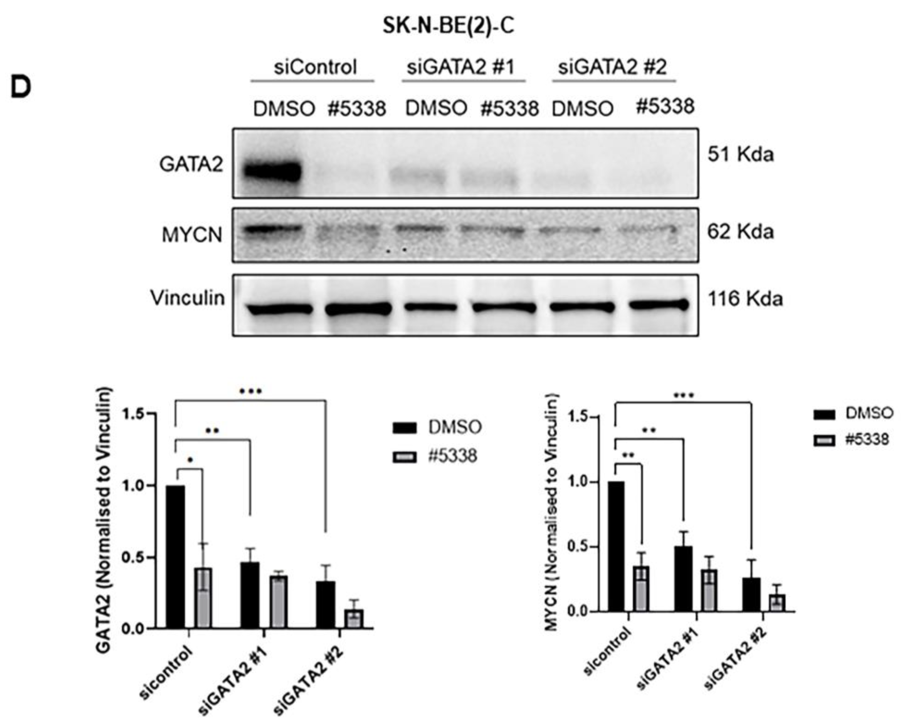 Cancers 15 01822 g005b