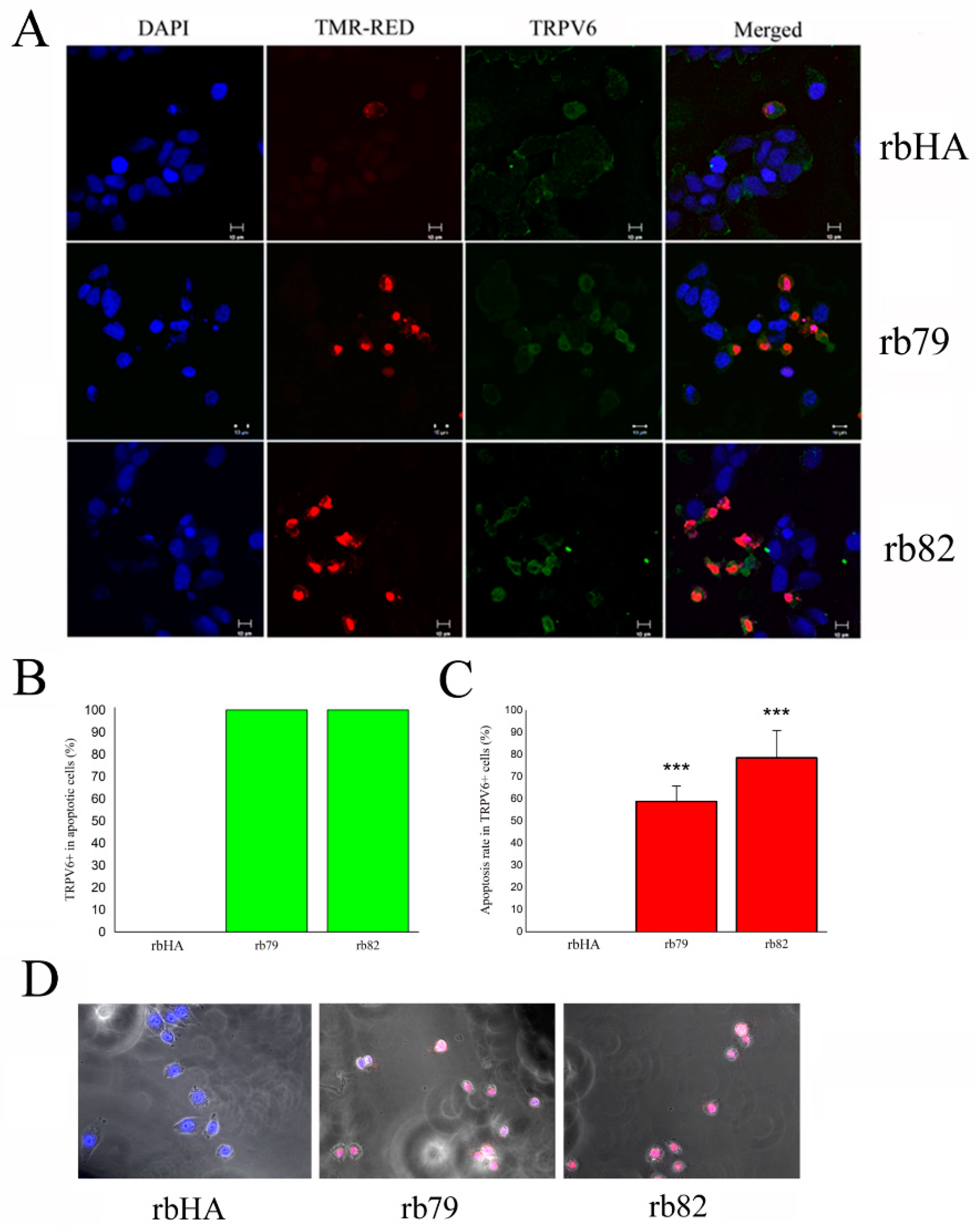 Cancers 15 01825 g006 Cancers 15 01825 g006