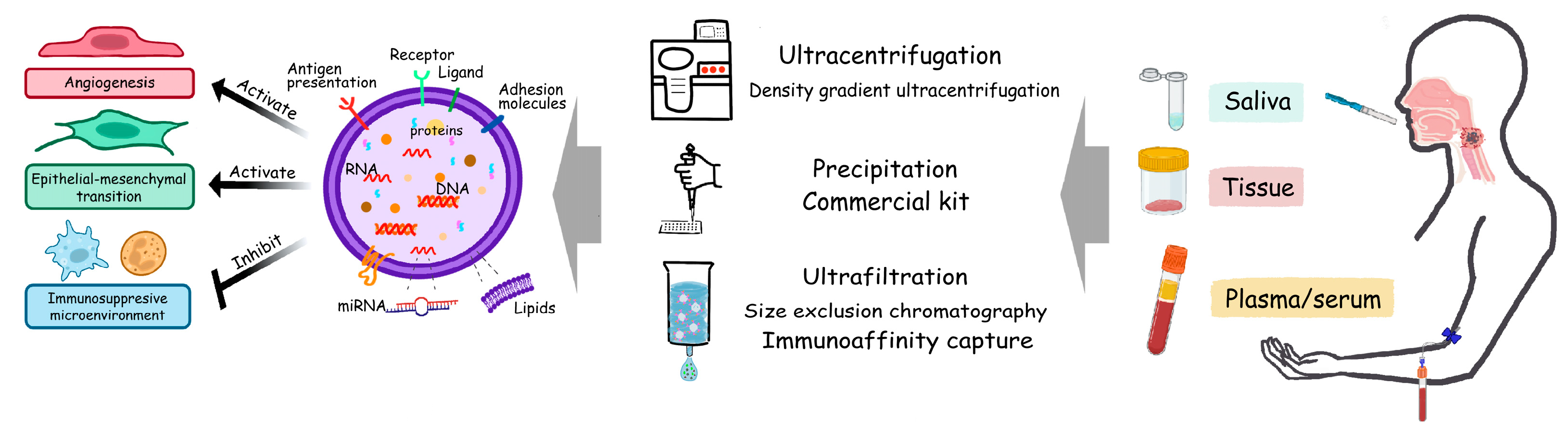 Cancers 15 01826 g002 Cancers 15 01826 g002