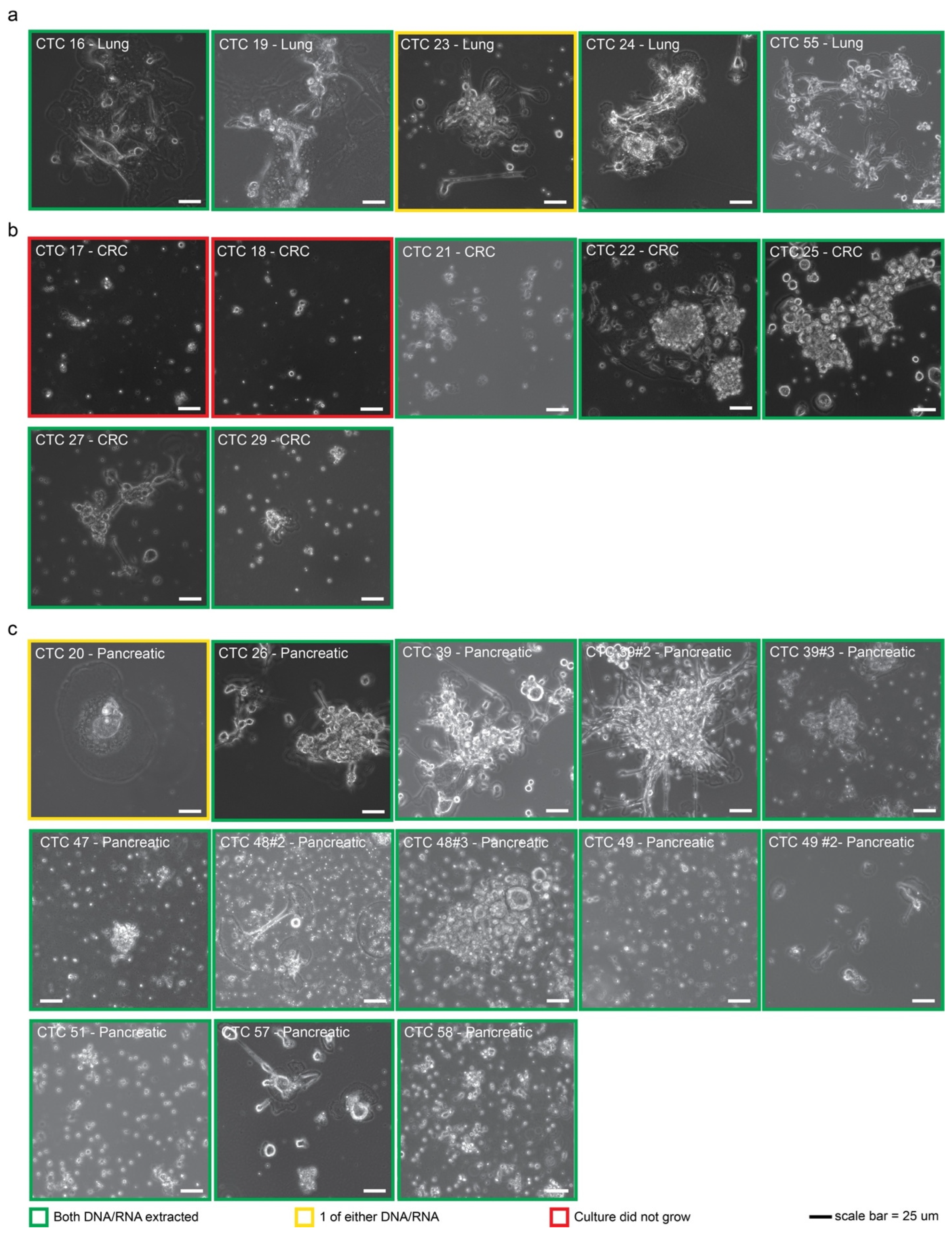 Cancers 15 01831 g001 Cancers 15 01831 g001