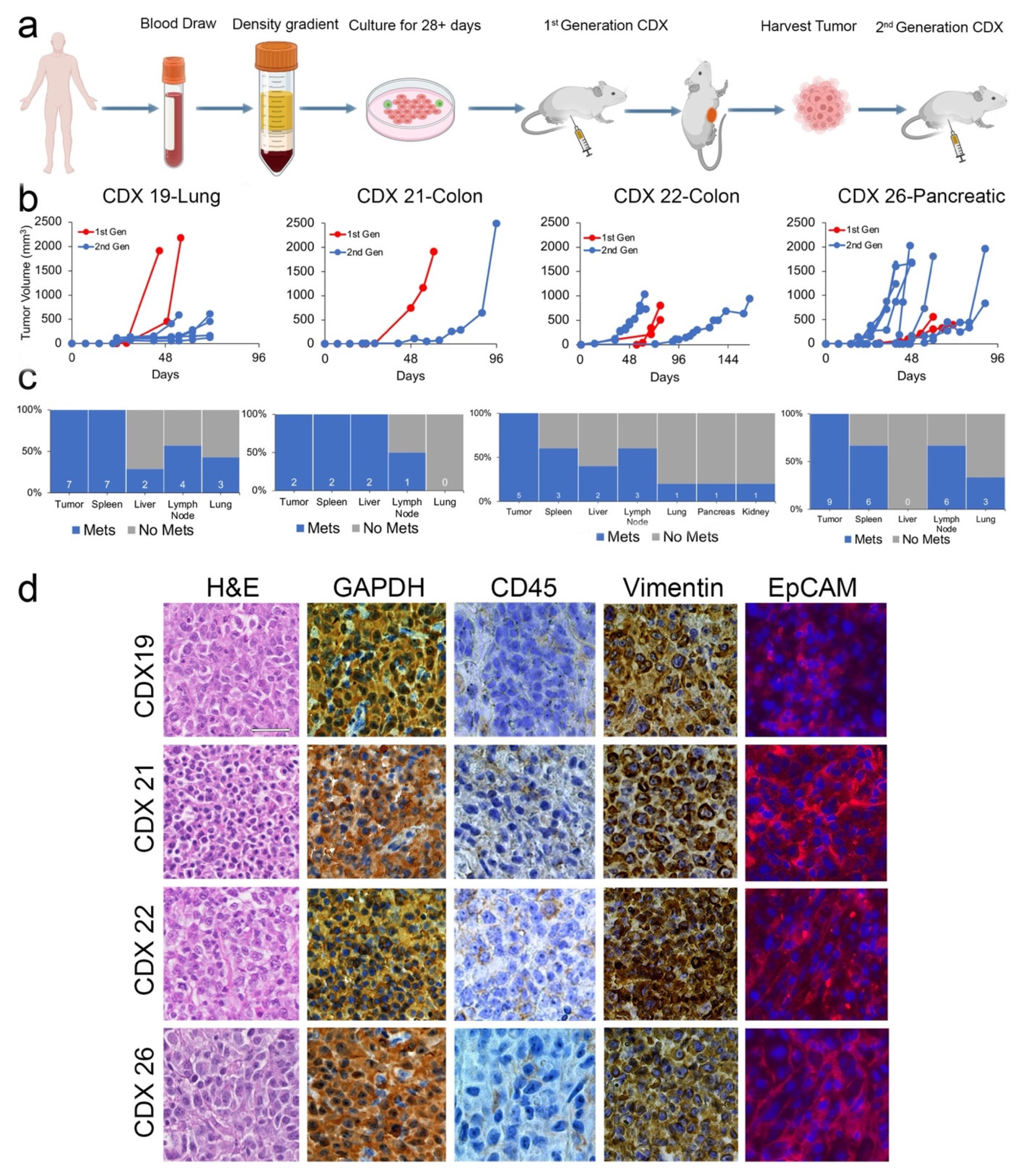 Cancers 15 01831 g002 Cancers 15 01831 g002