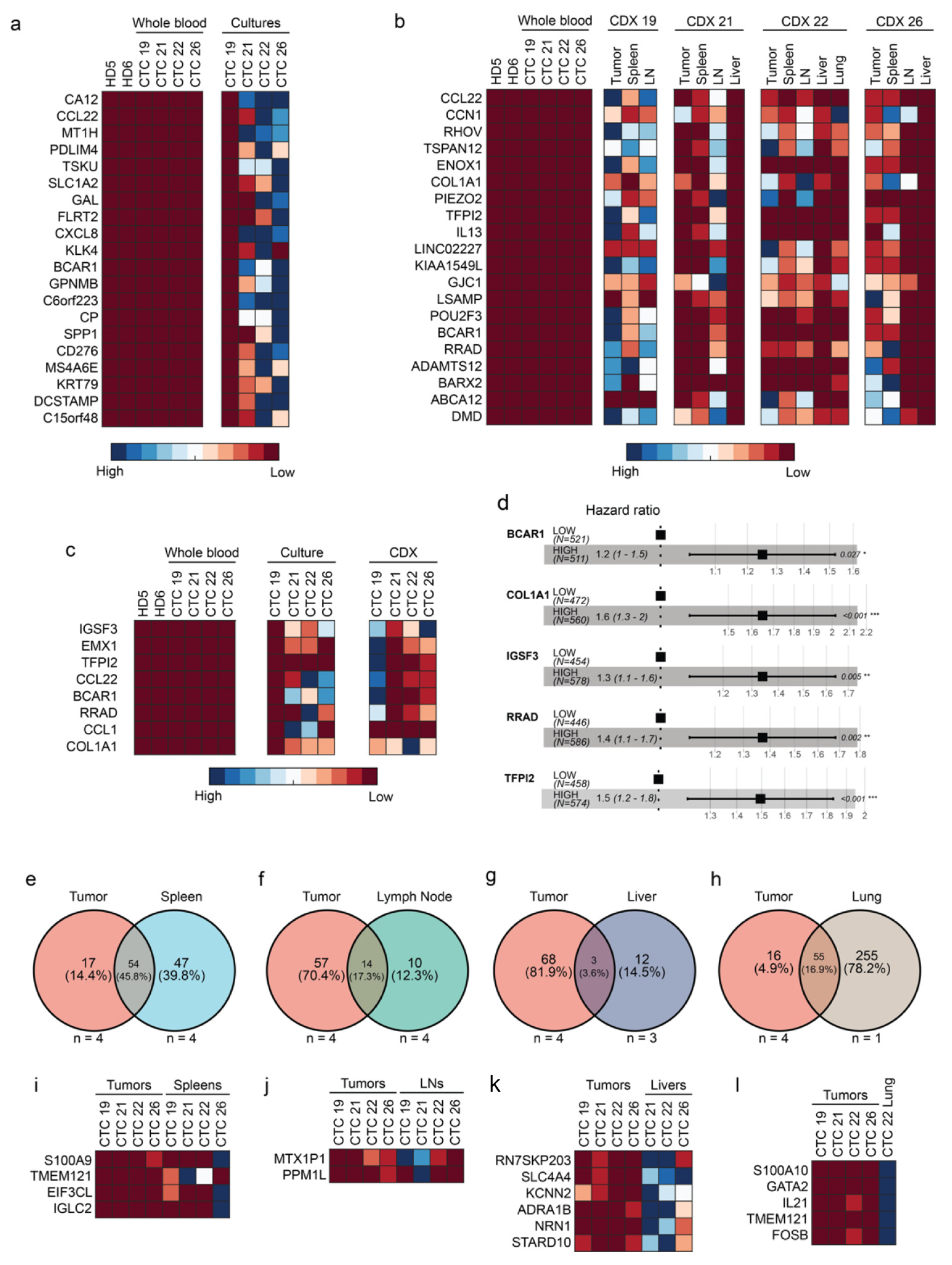 Cancers 15 01831 g004 Cancers 15 01831 g004