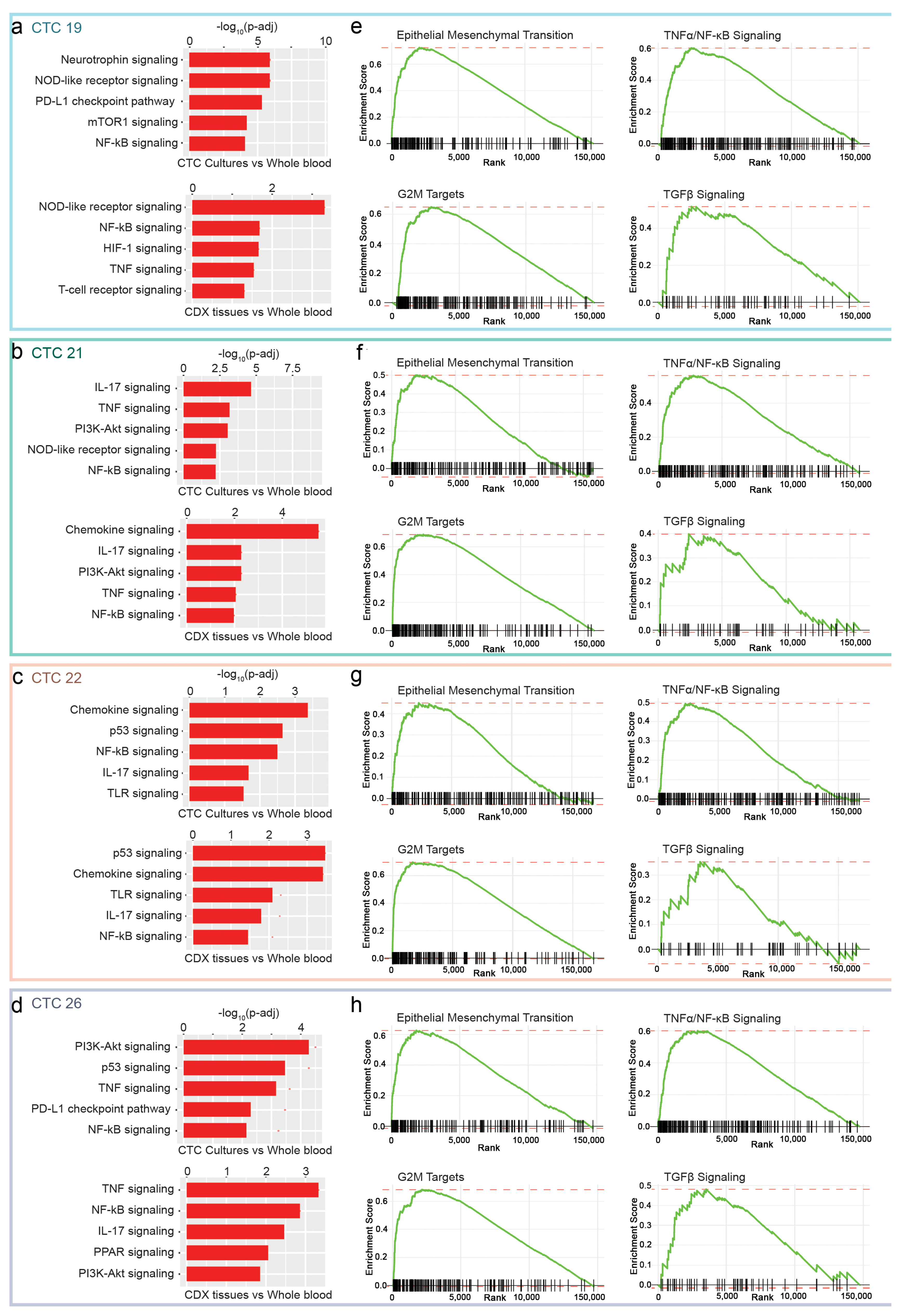 Cancers 15 01831 g005 Cancers 15 01831 g005