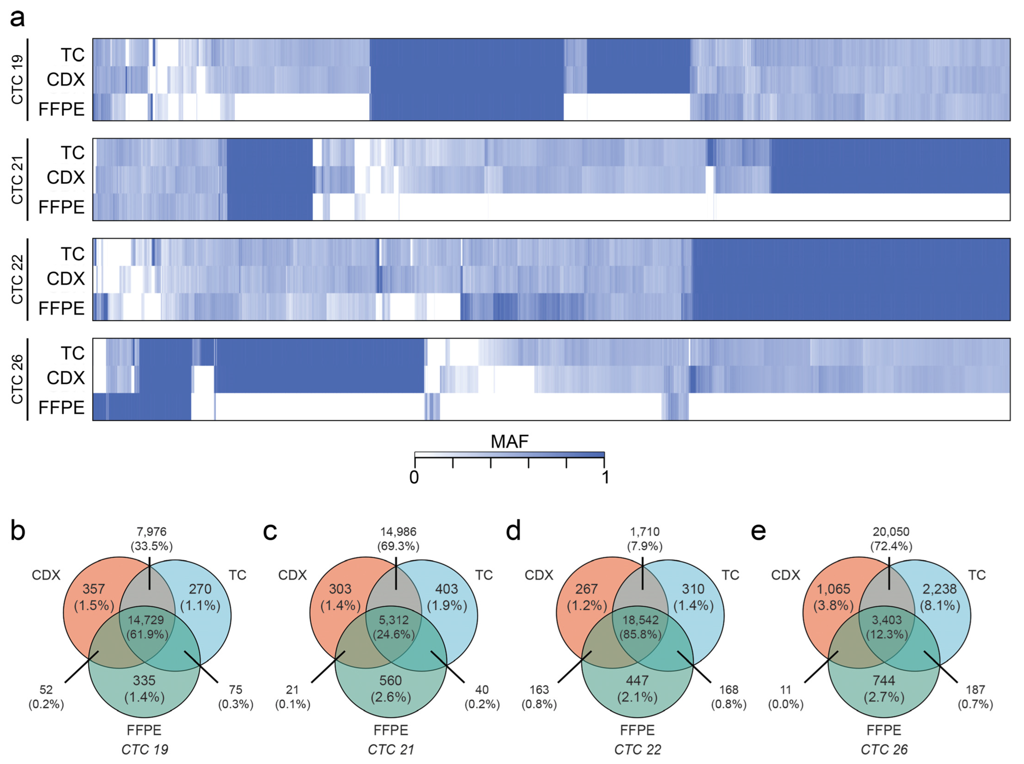 Cancers 15 01831 g006 Cancers 15 01831 g006