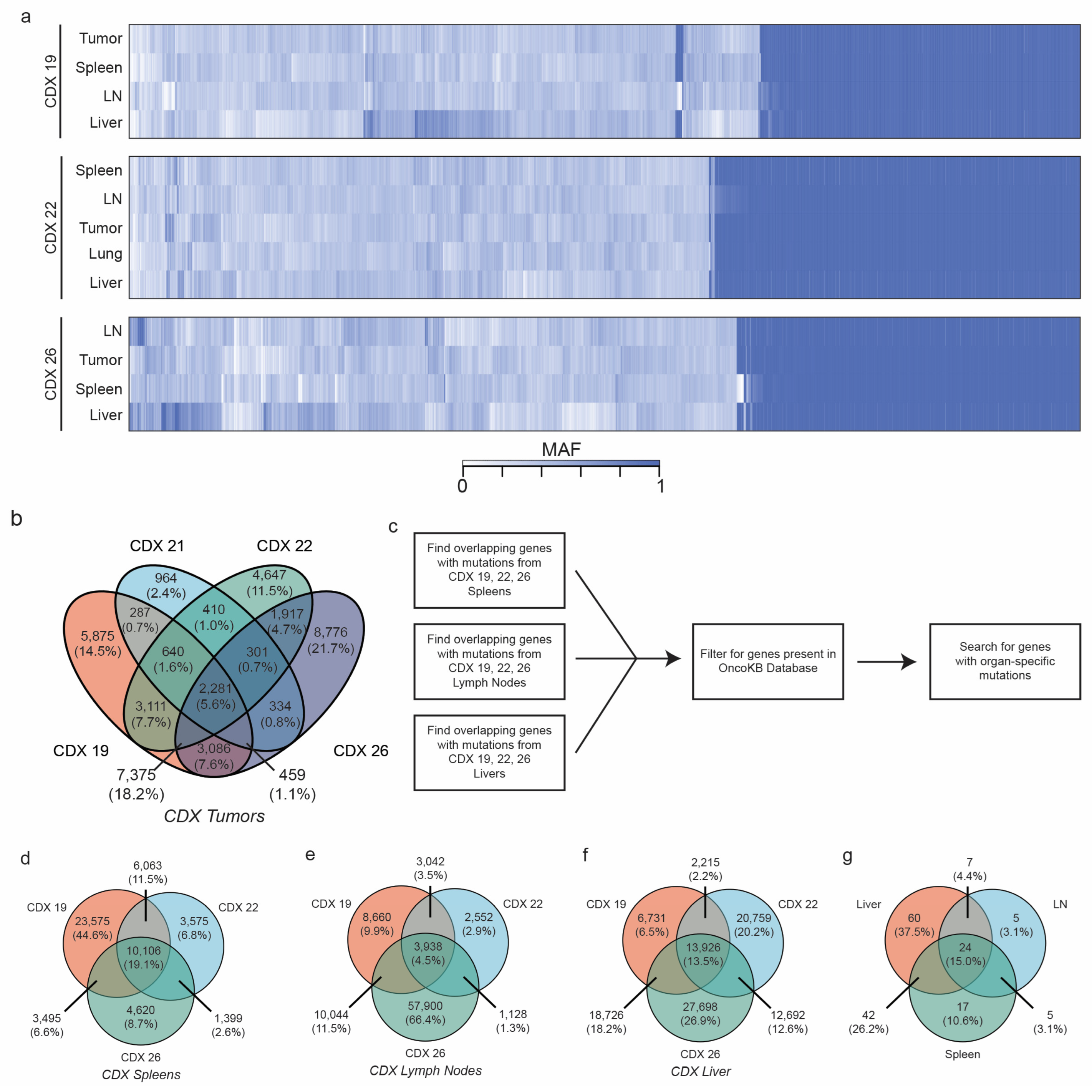 Cancers 15 01831 g007 Cancers 15 01831 g007