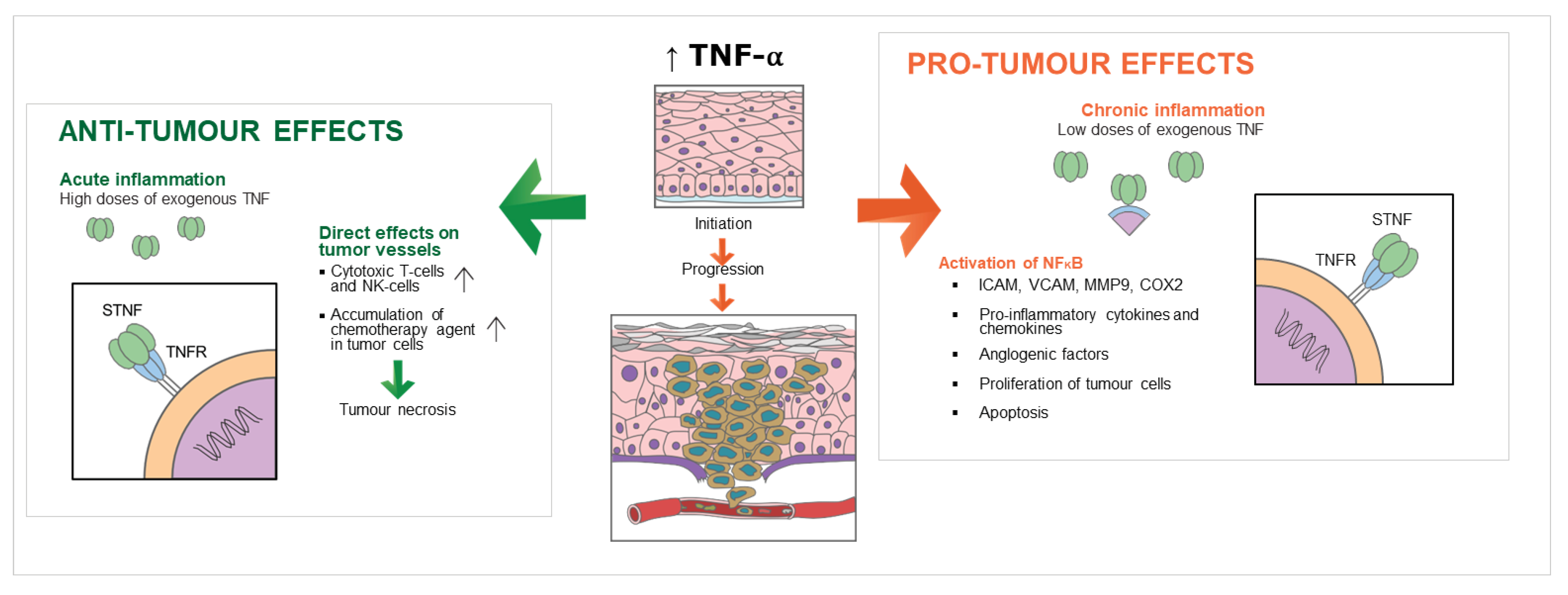 Cancers 15 01841 g002 Cancers 15 01841 g002