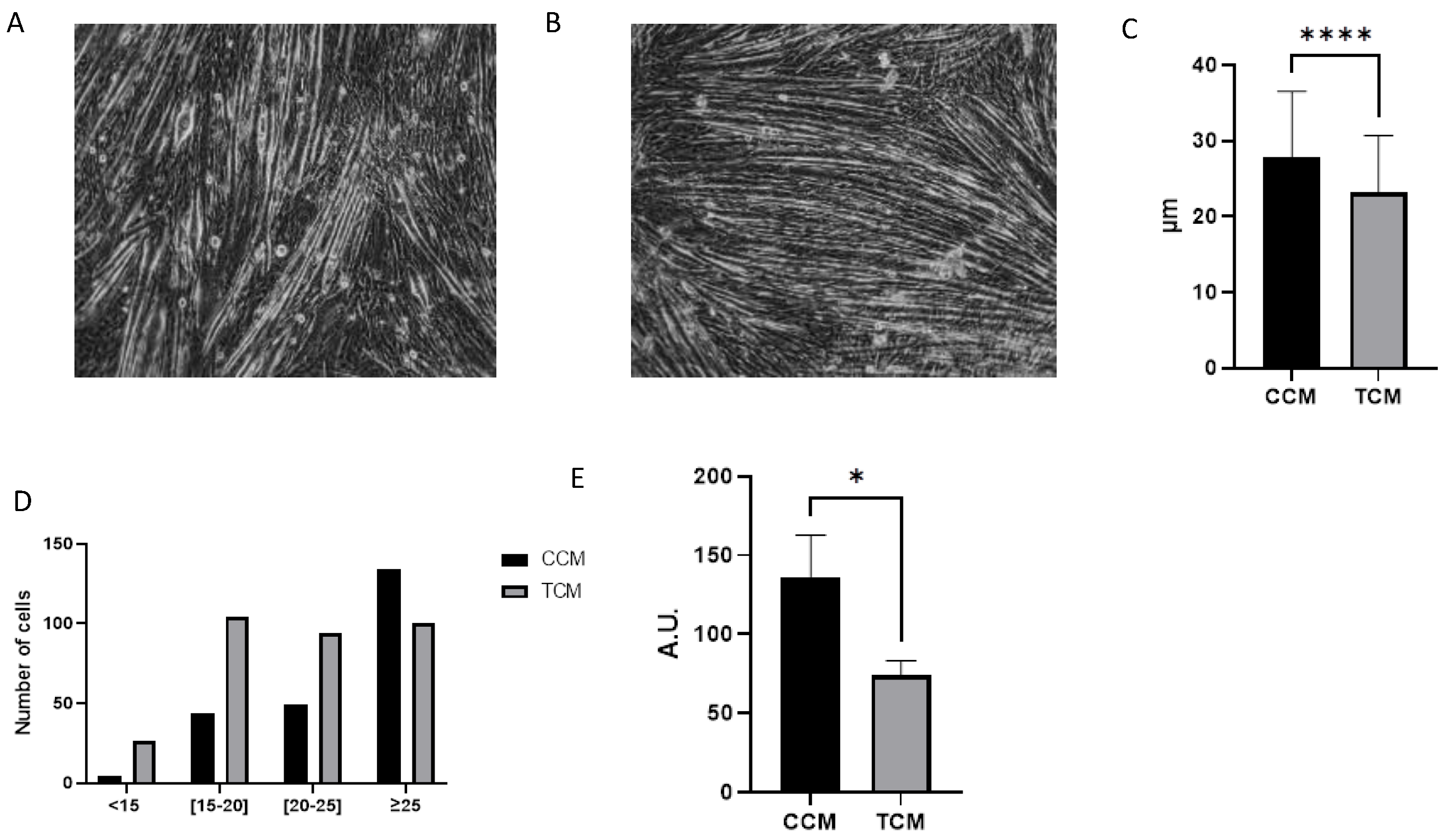 Cancers 15 01843 g001 Cancers 15 01843 g001