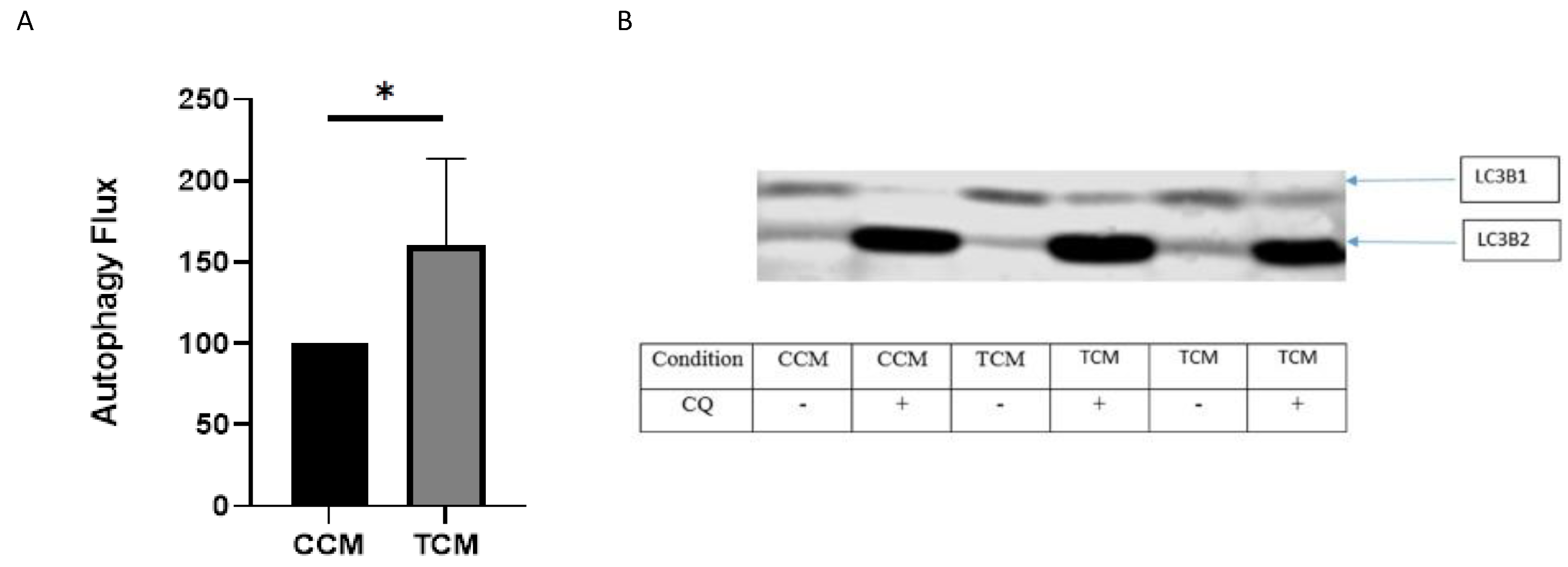 Cancers 15 01843 g004 Cancers 15 01843 g004