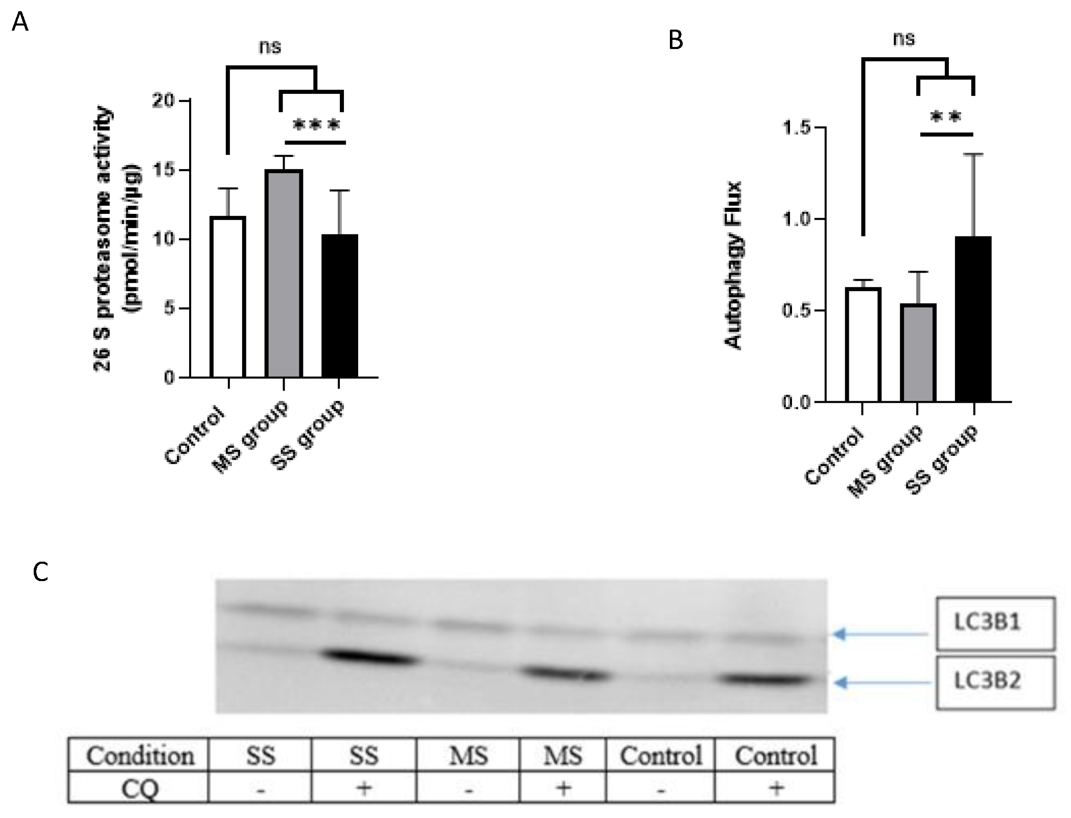 Cancers 15 01843 g007 Cancers 15 01843 g007