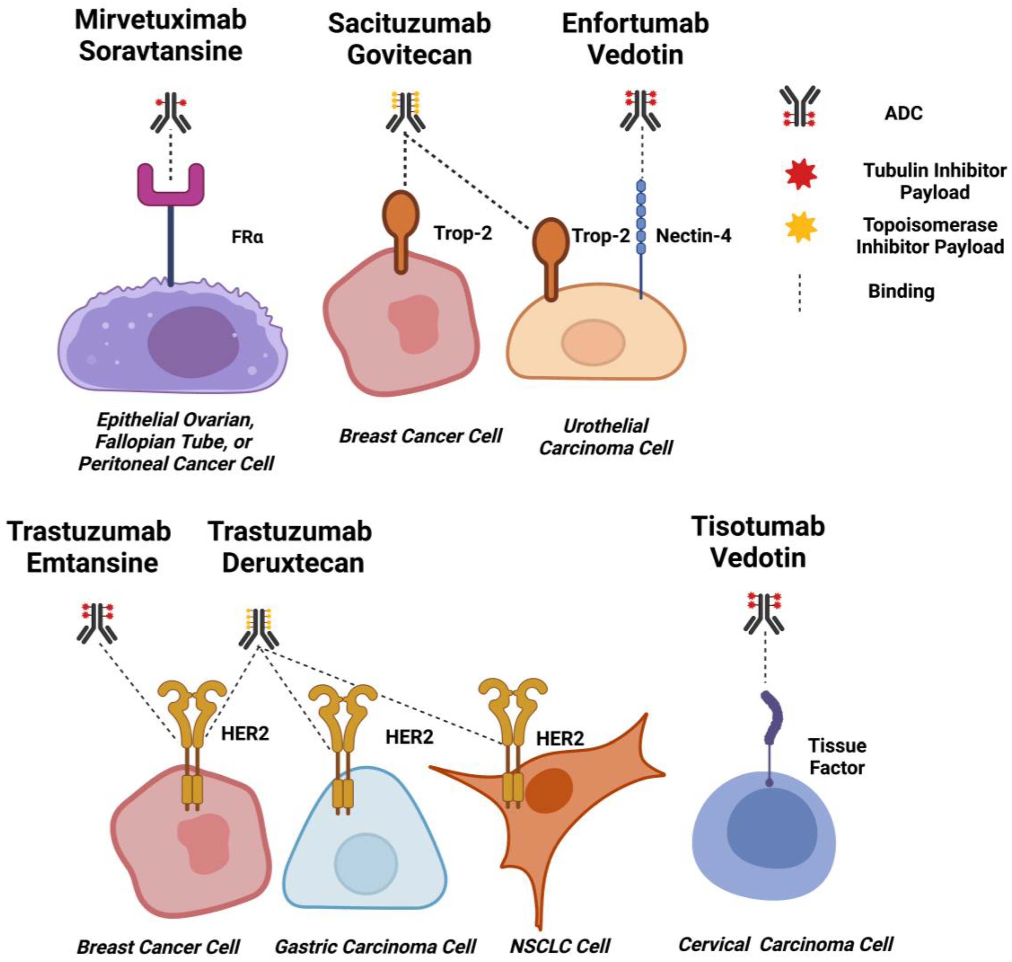 Cancers 15 01845 g003 Cancers 15 01845 g003