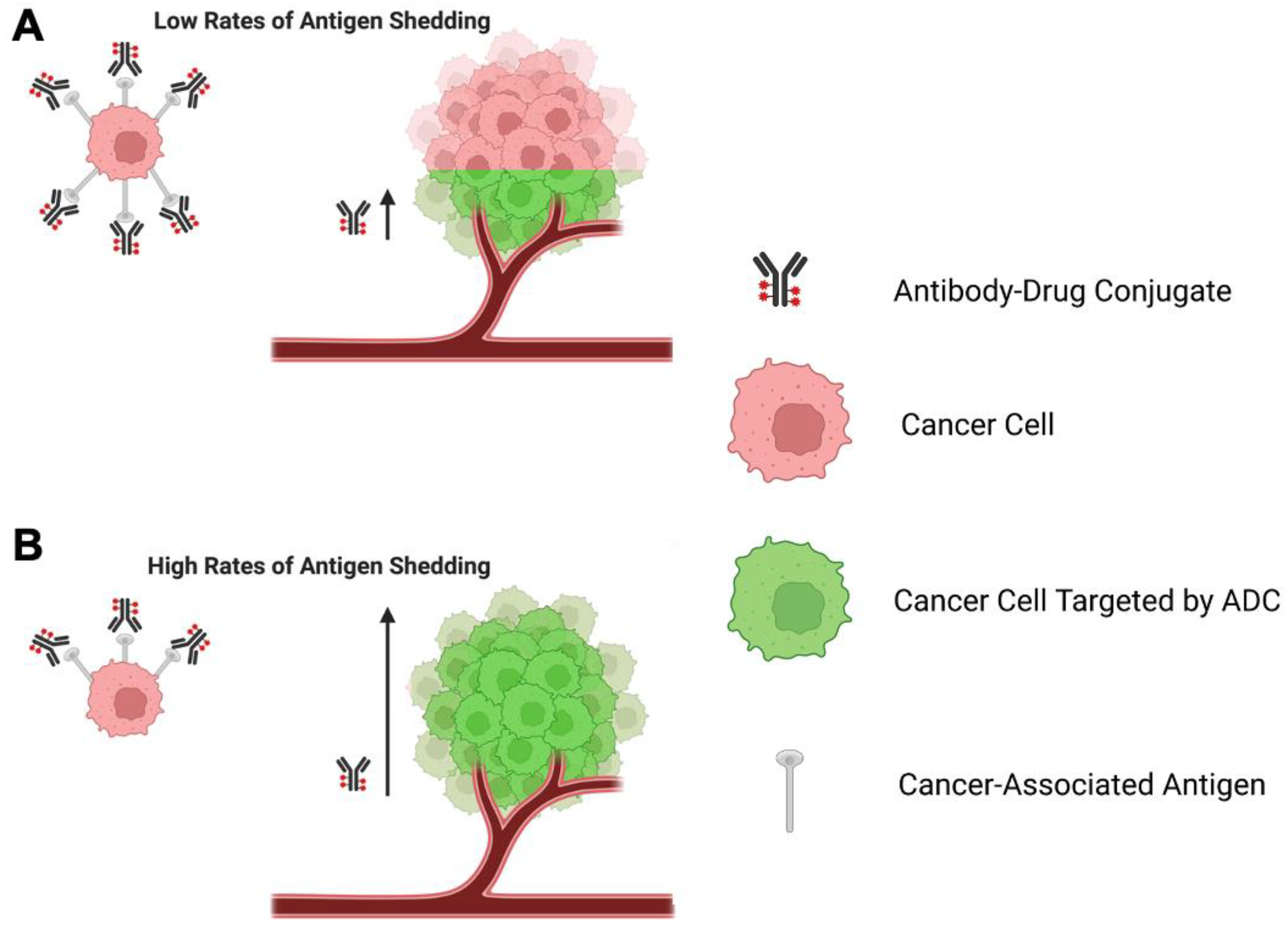 Cancers 15 01845 g004 Cancers 15 01845 g004