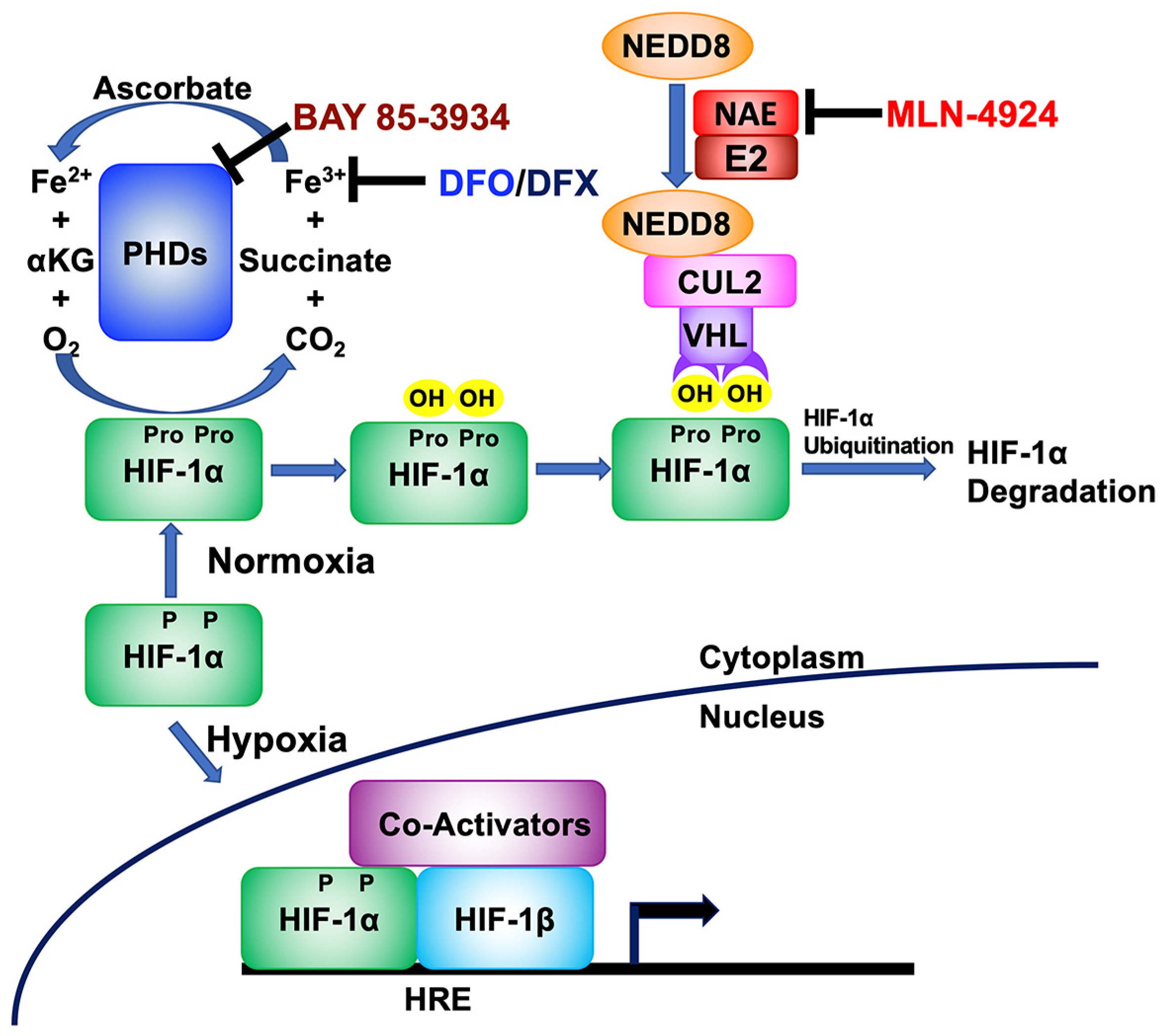 Cancers 15 01846 g001