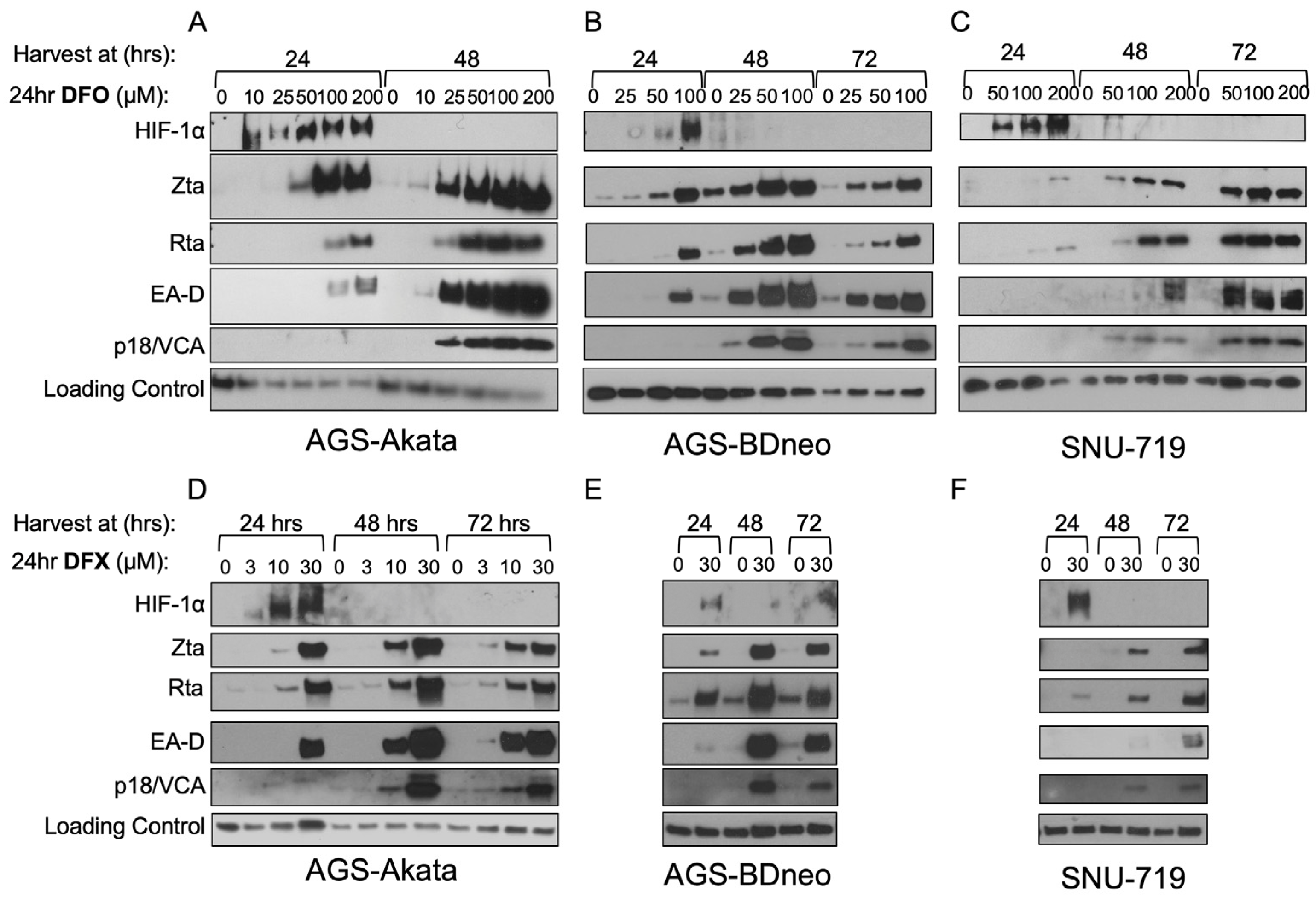 Cancers 15 01846 g005