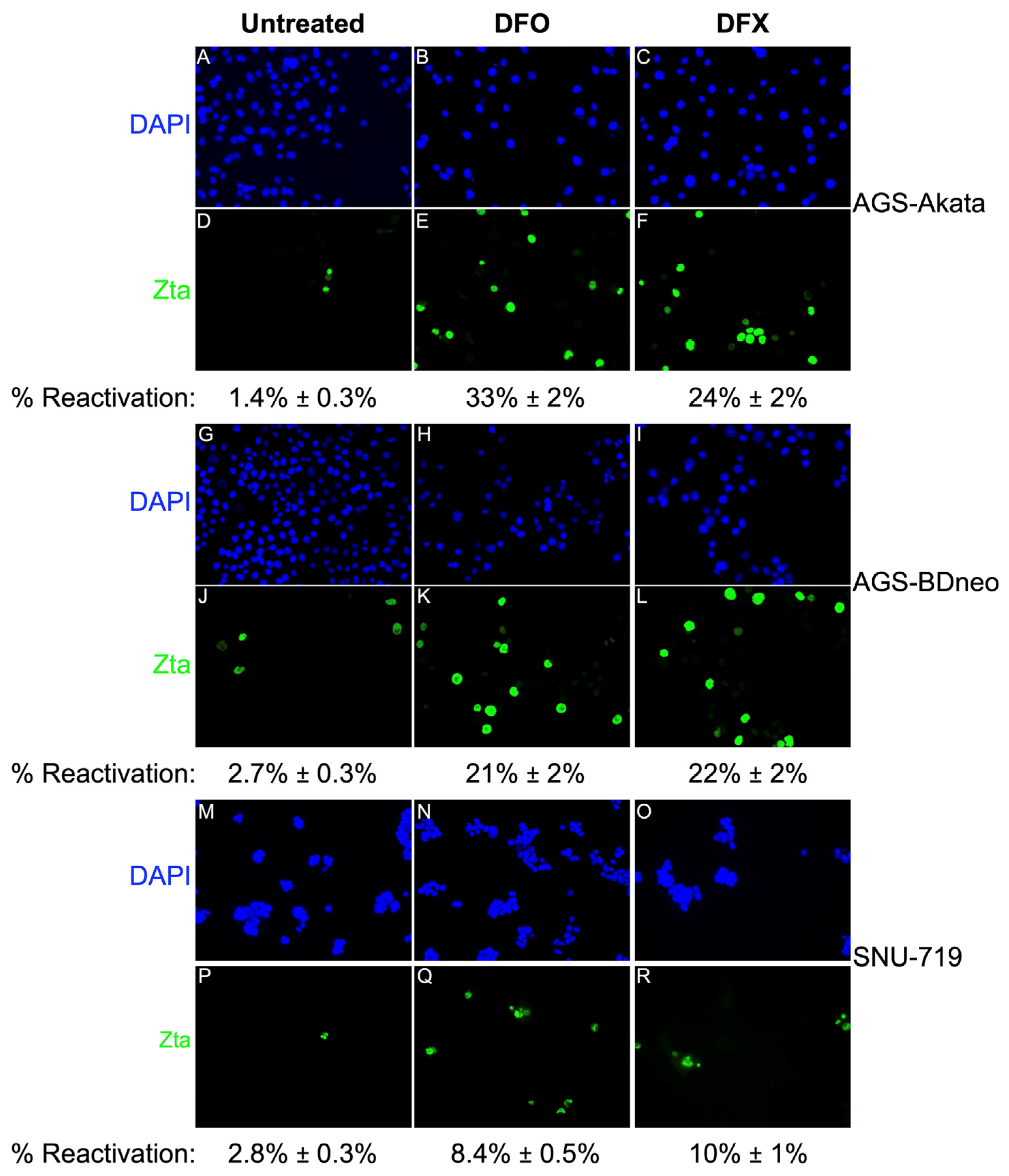 Cancers 15 01846 g006