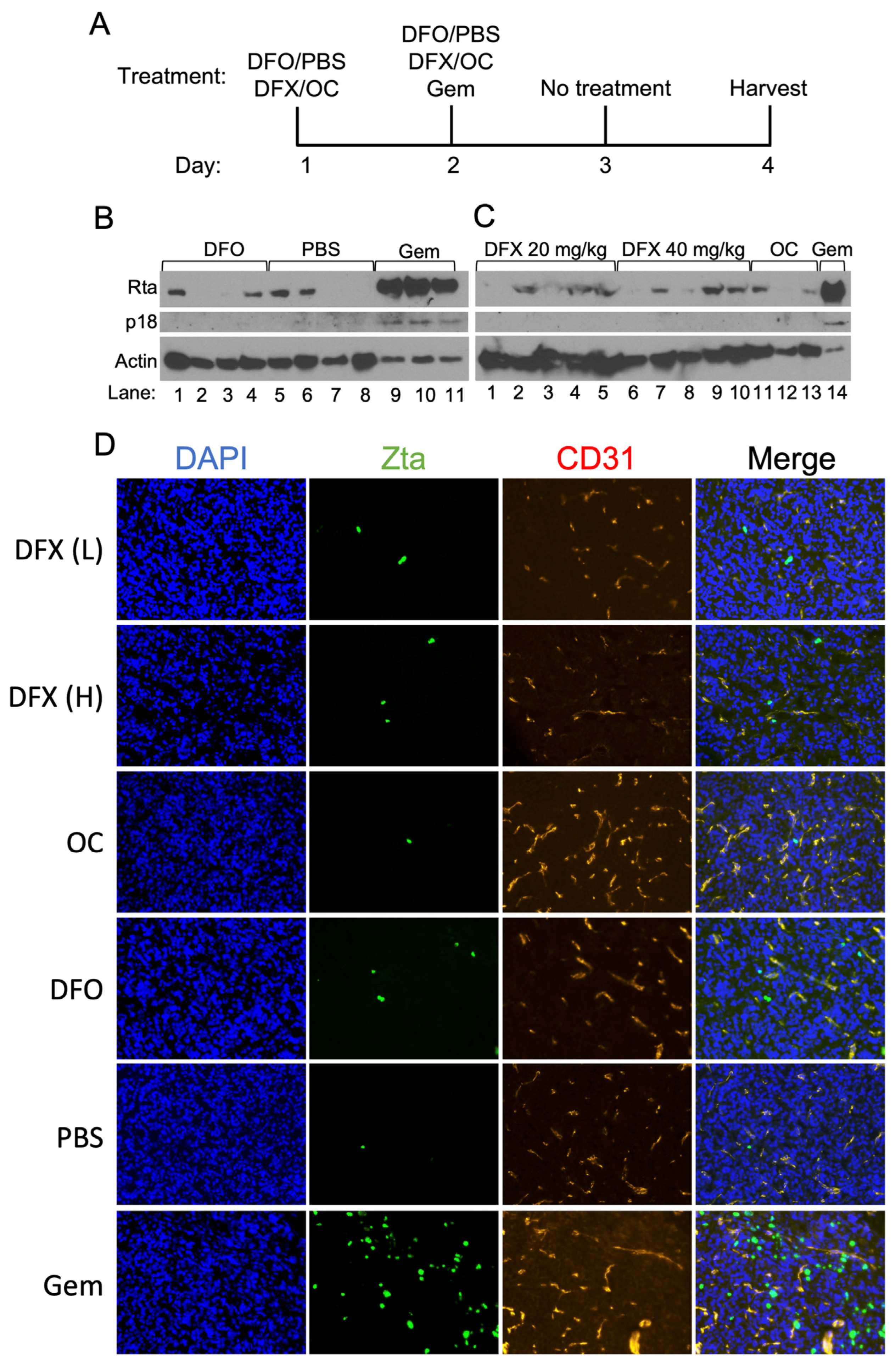 Cancers 15 01846 g007