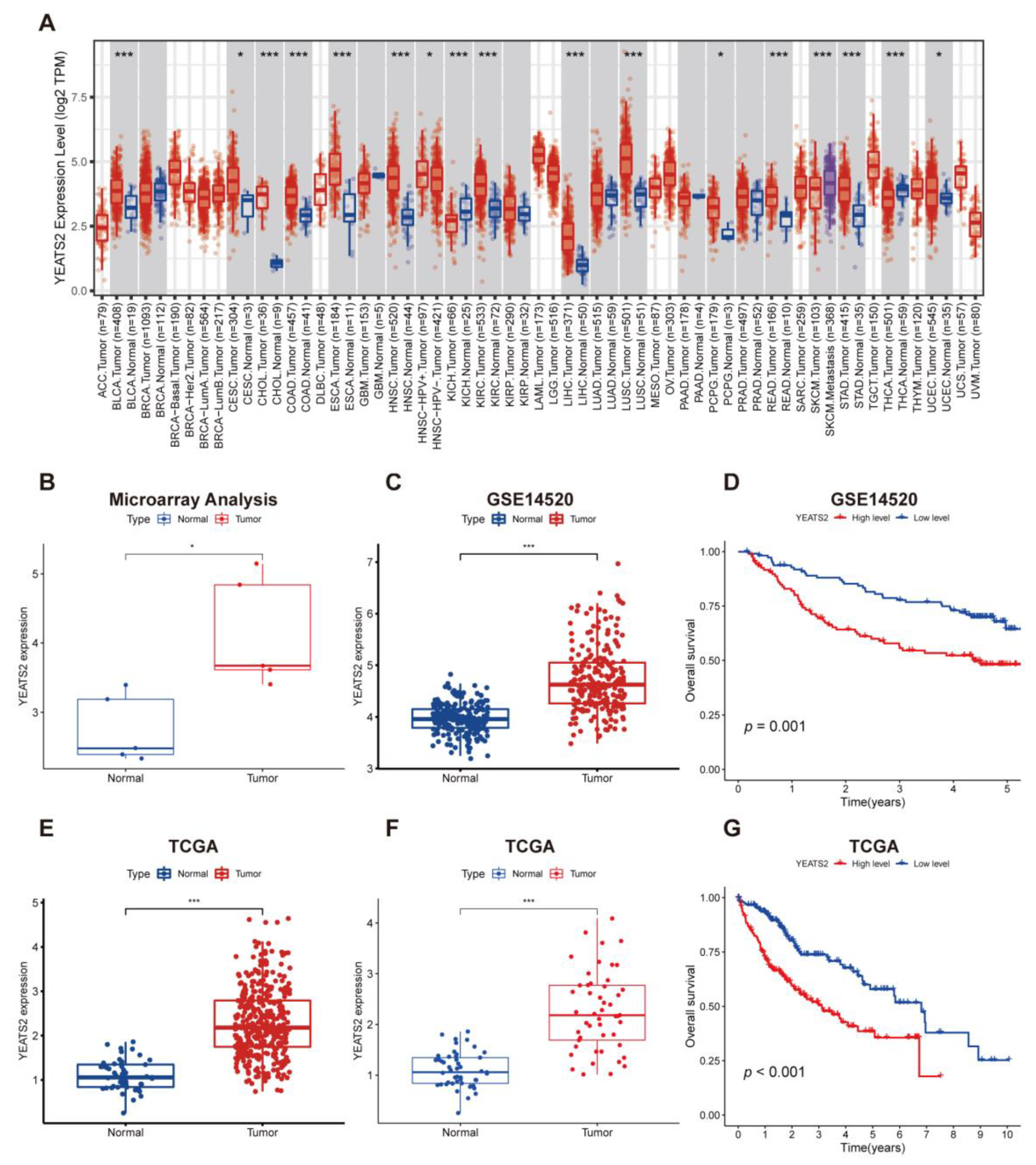 Cancers 15 01850 g001