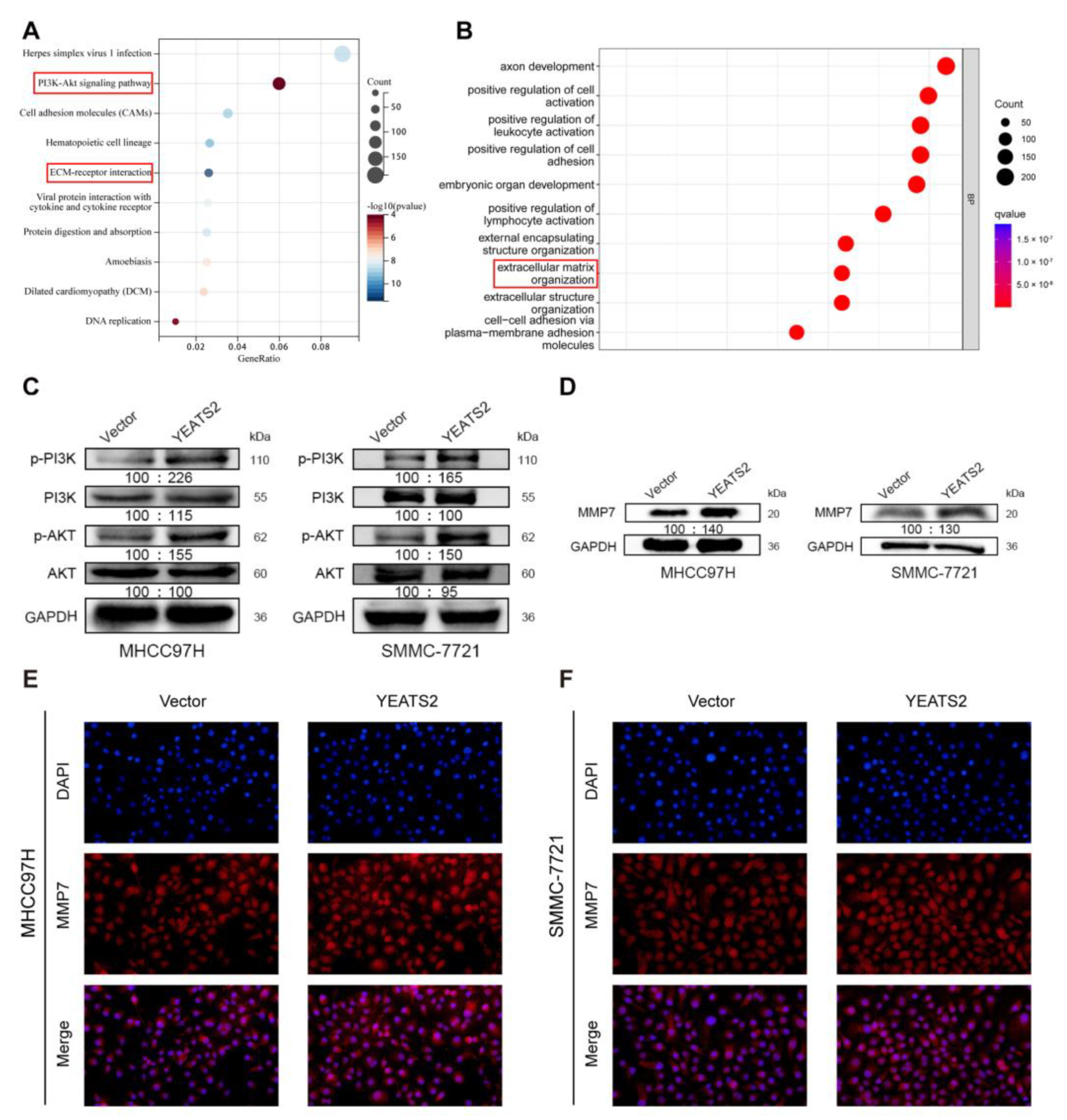 Cancers 15 01850 g005