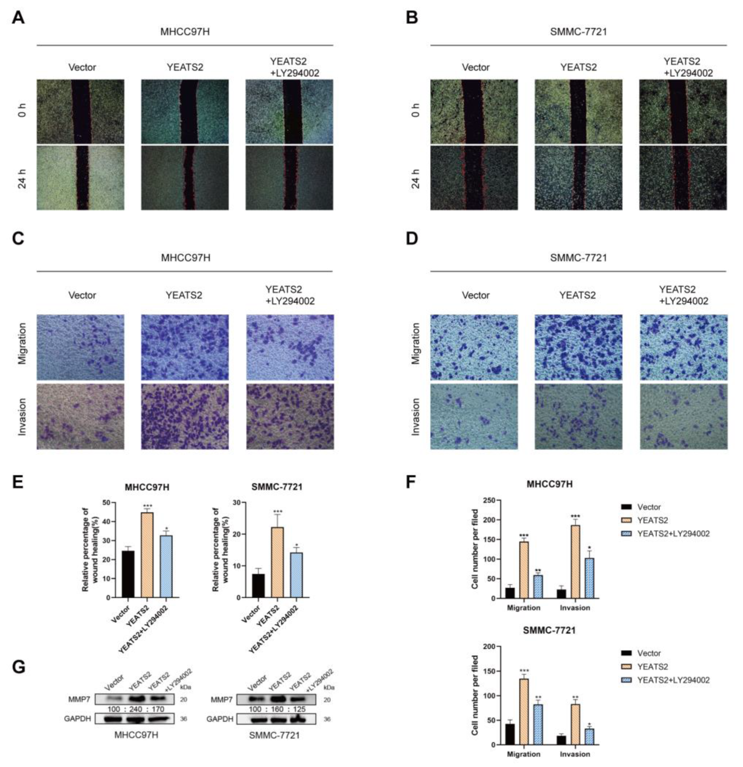 Cancers 15 01850 g006