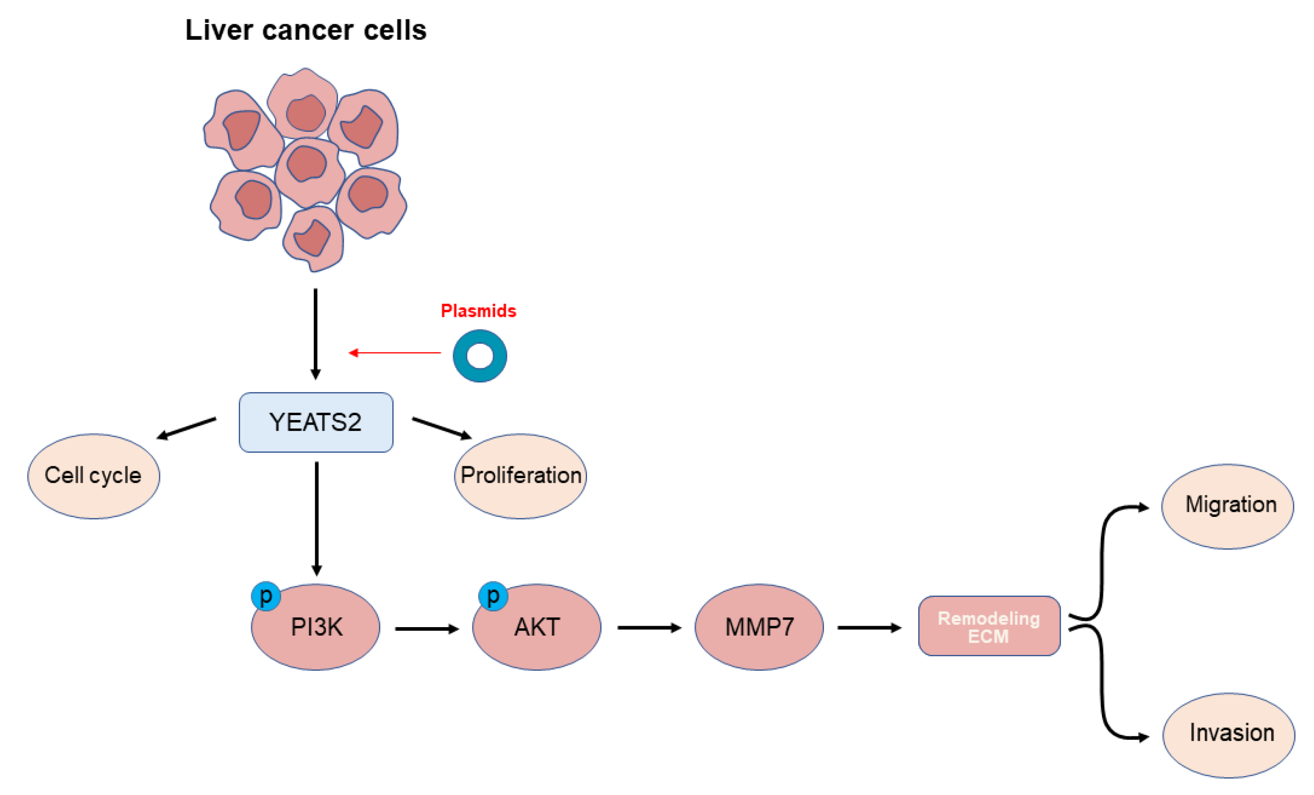 Cancers 15 01850 g007