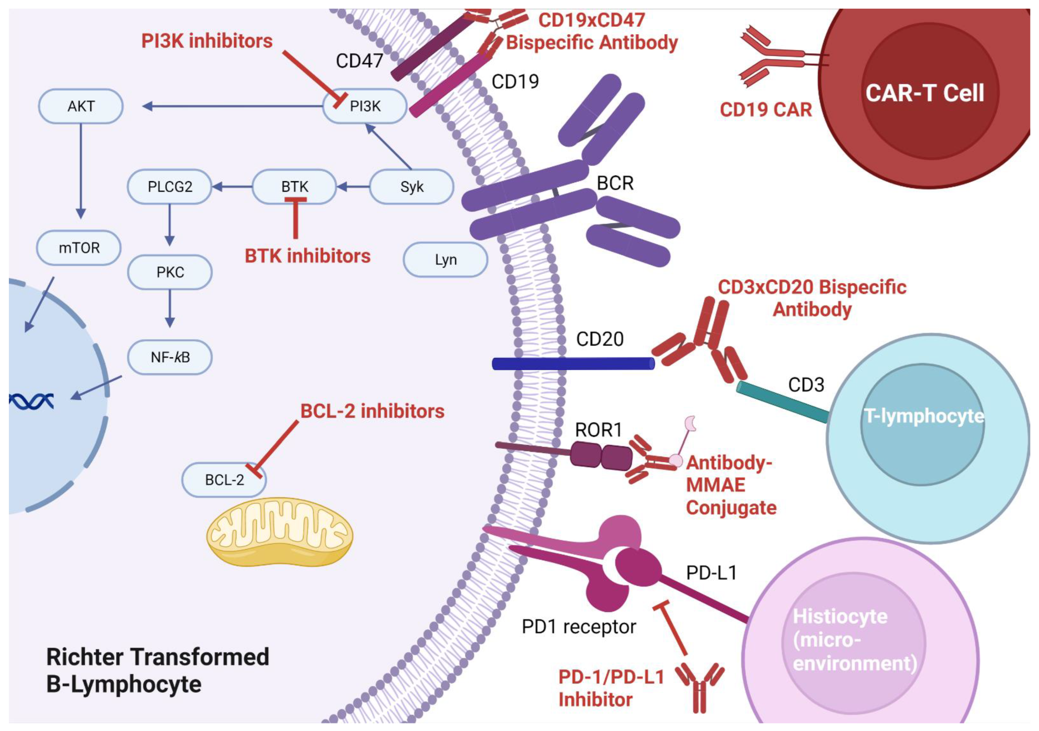 Cancers 15 01857 g001
